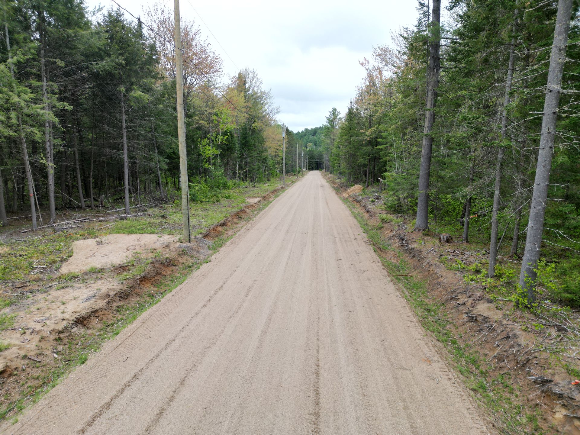 Overall View