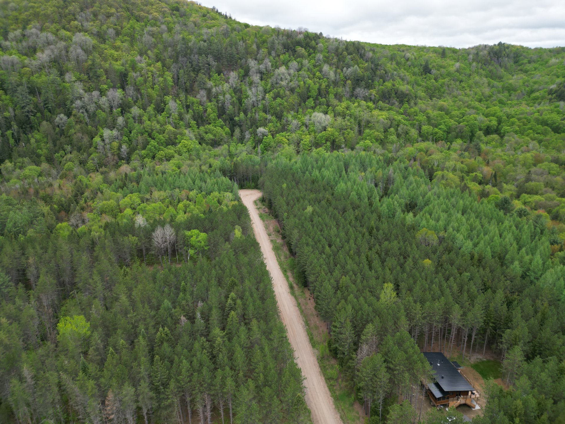 Overall View