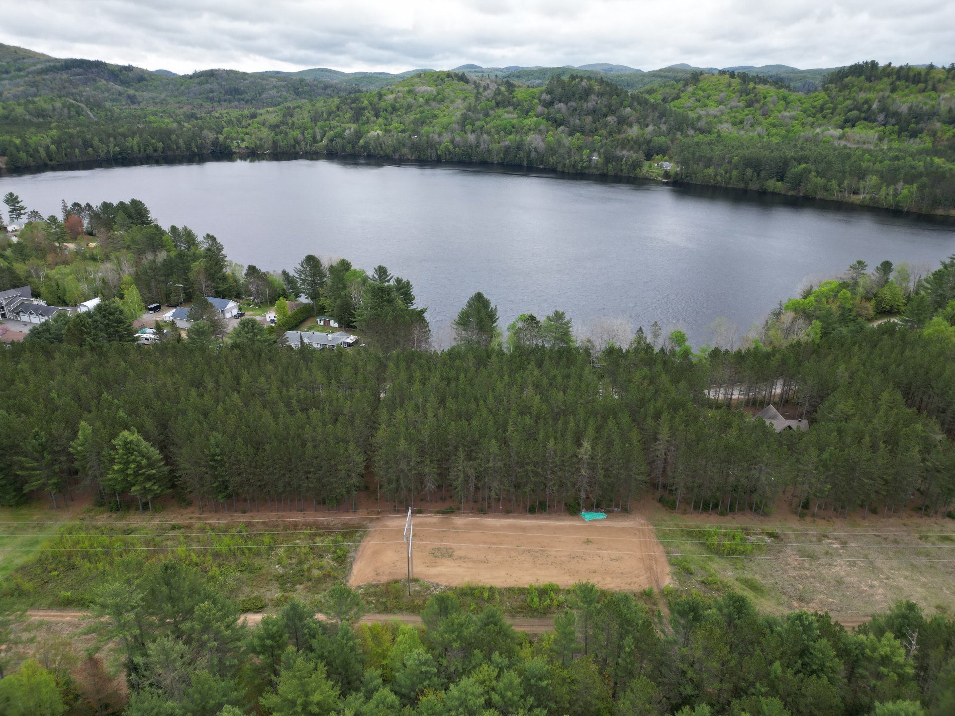 Overall View