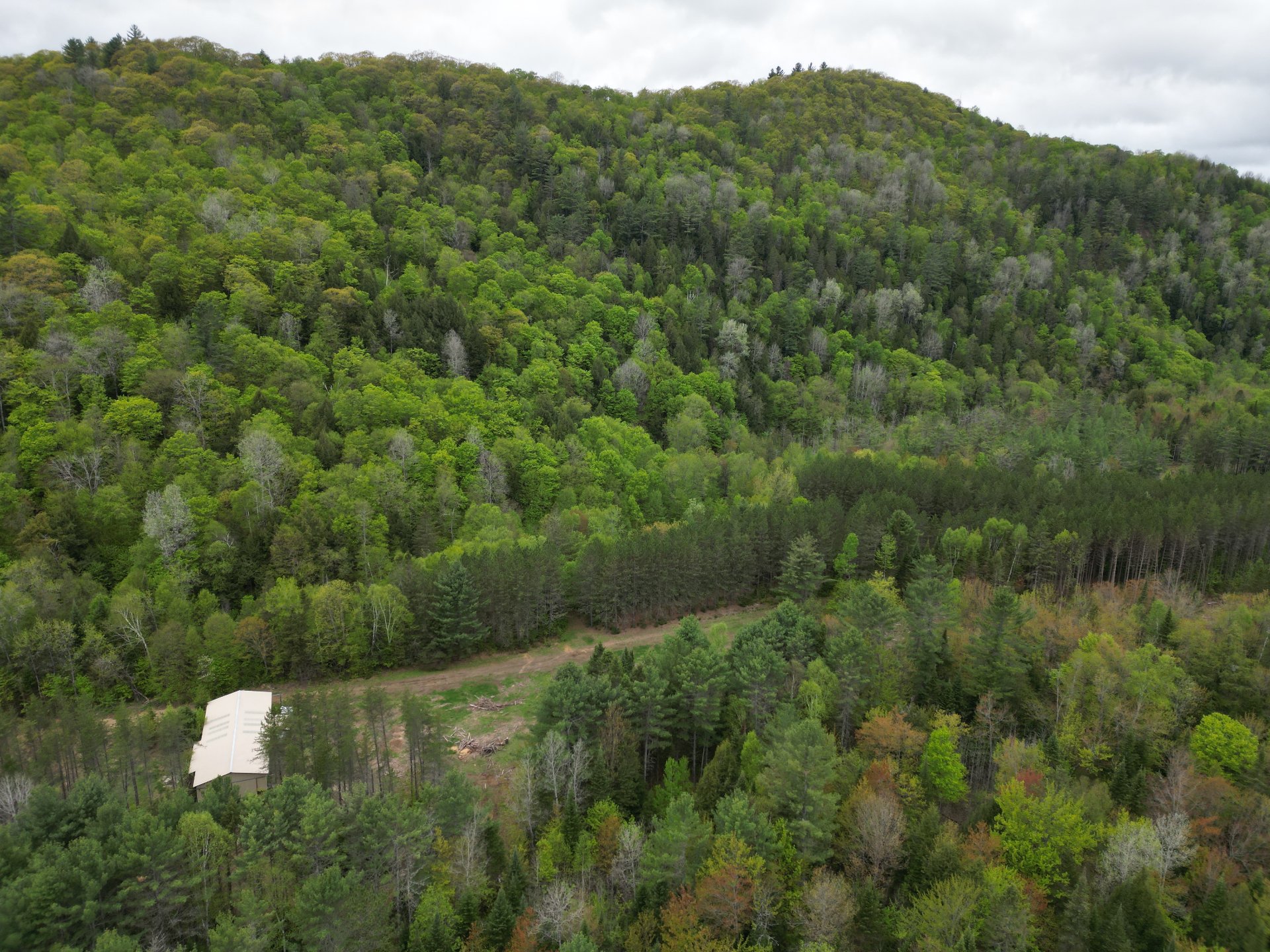Overall View
