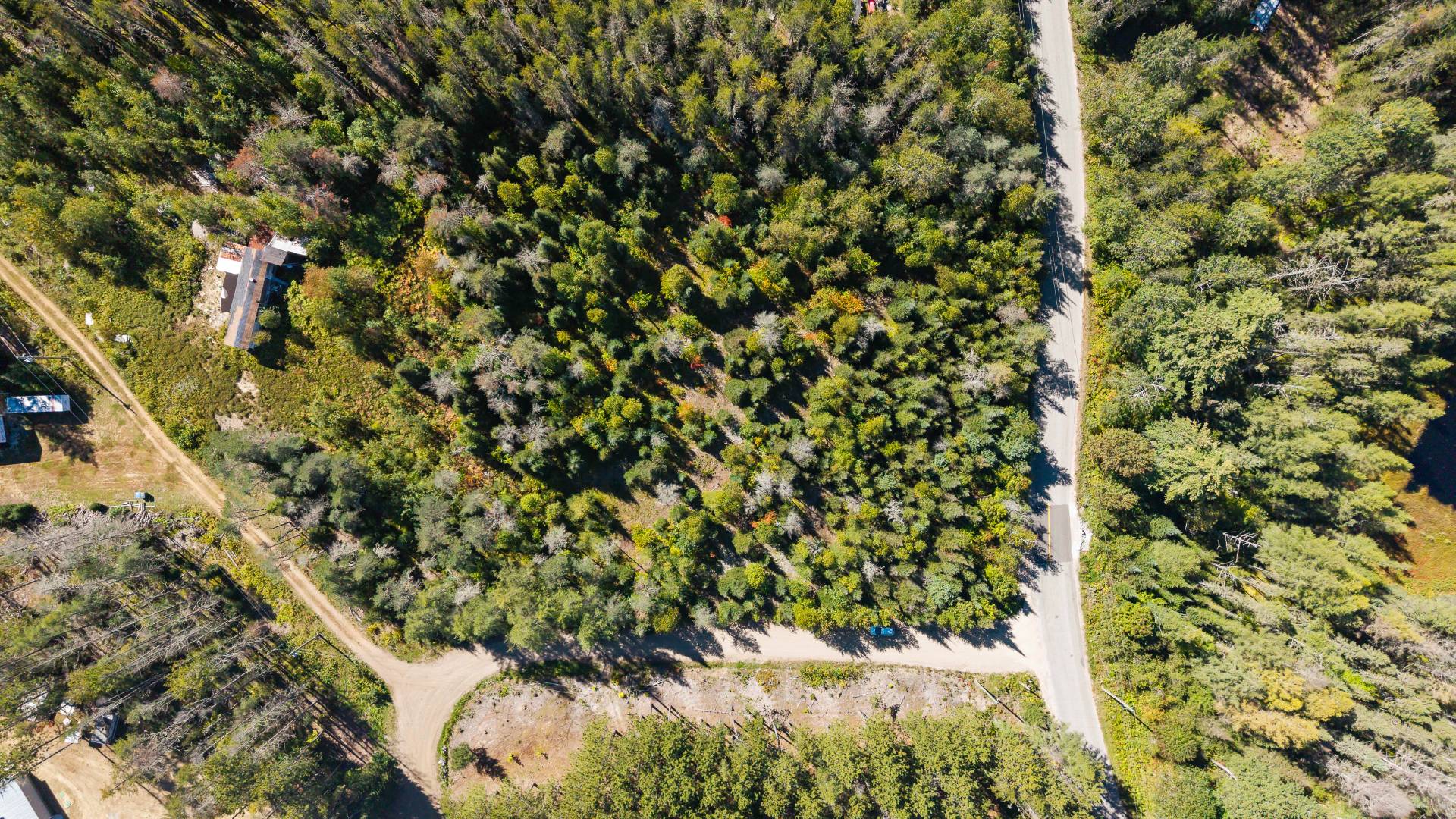 Aerial photo