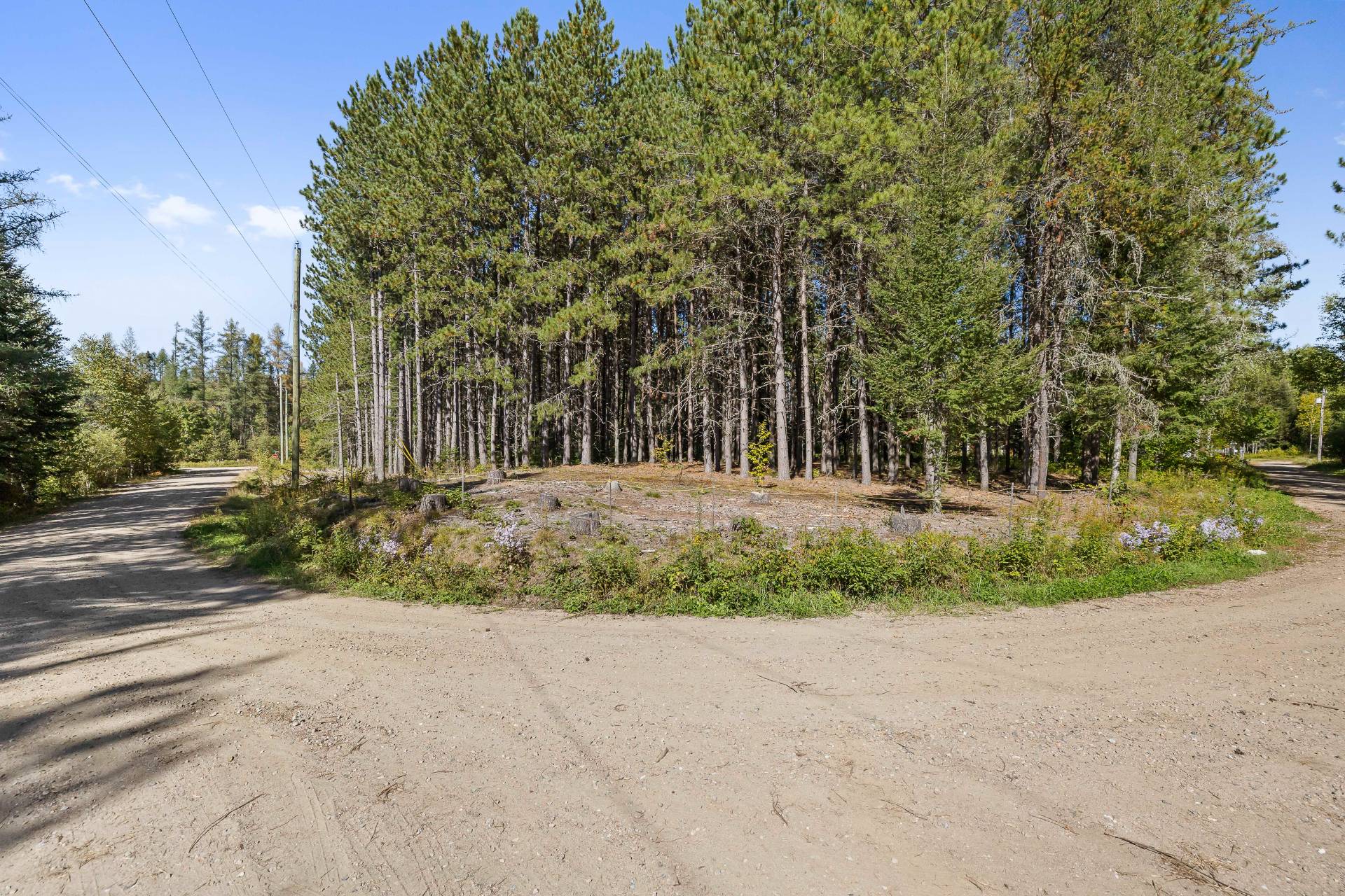 Land/Lot