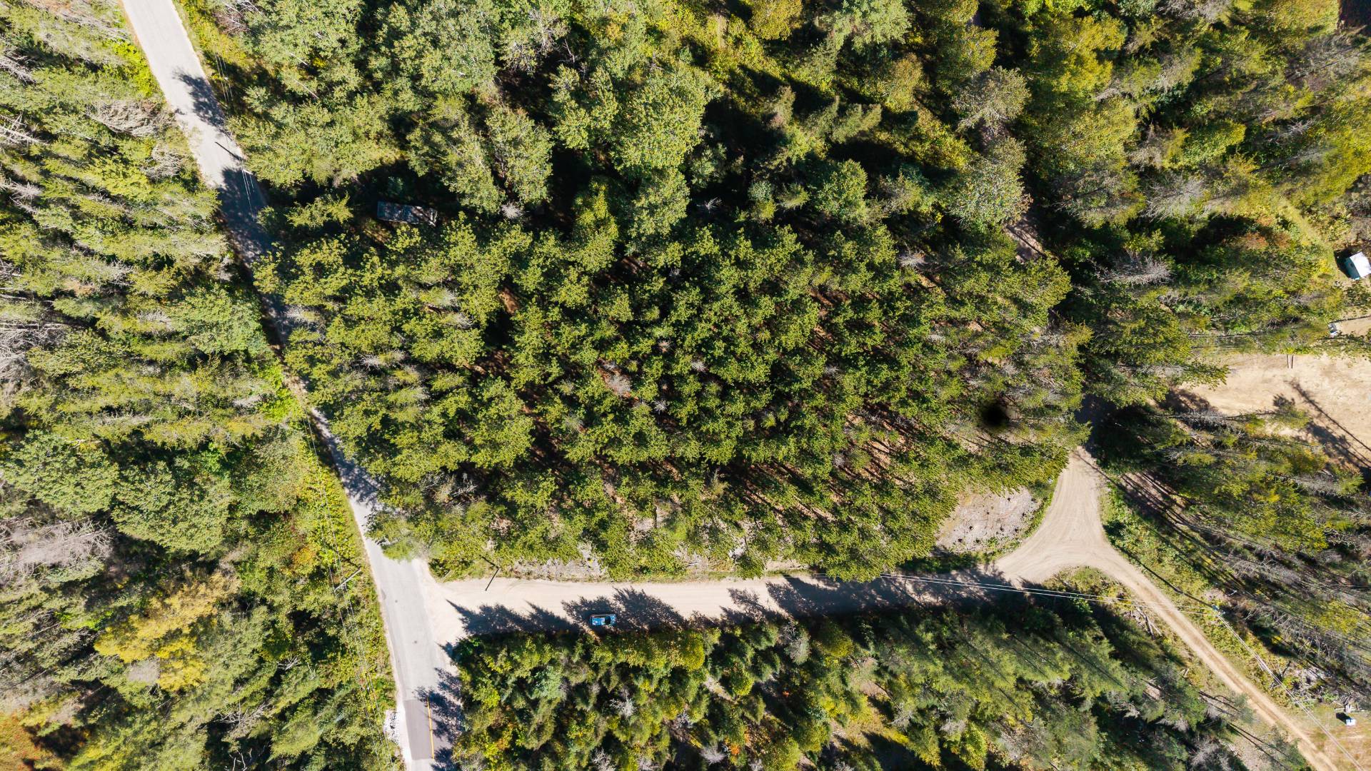 Aerial photo