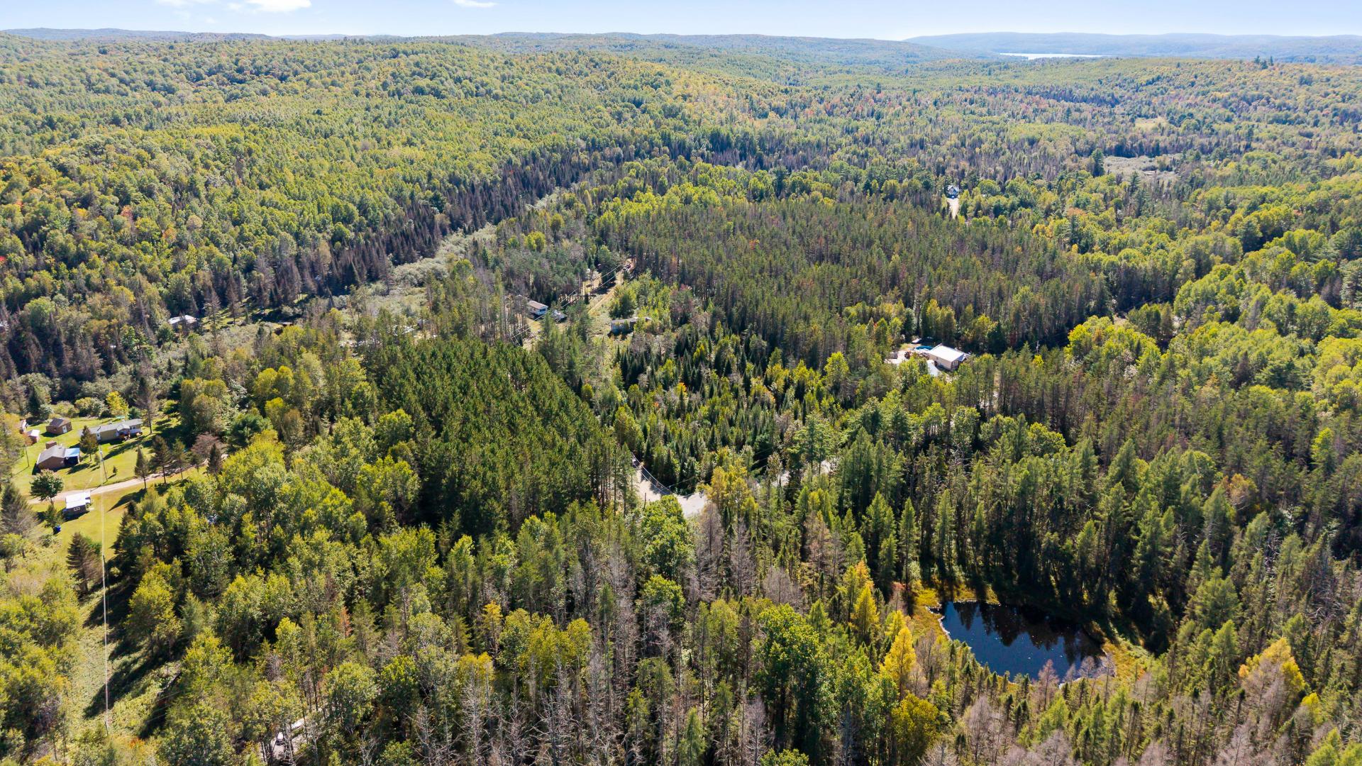 Aerial photo