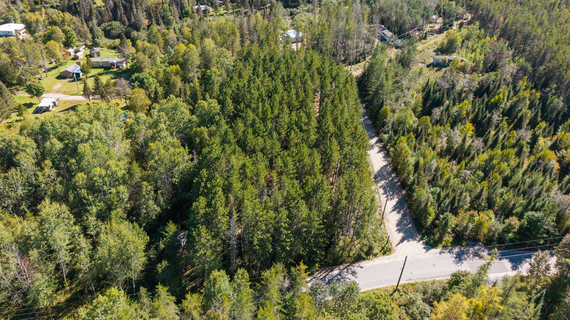 Aerial photo