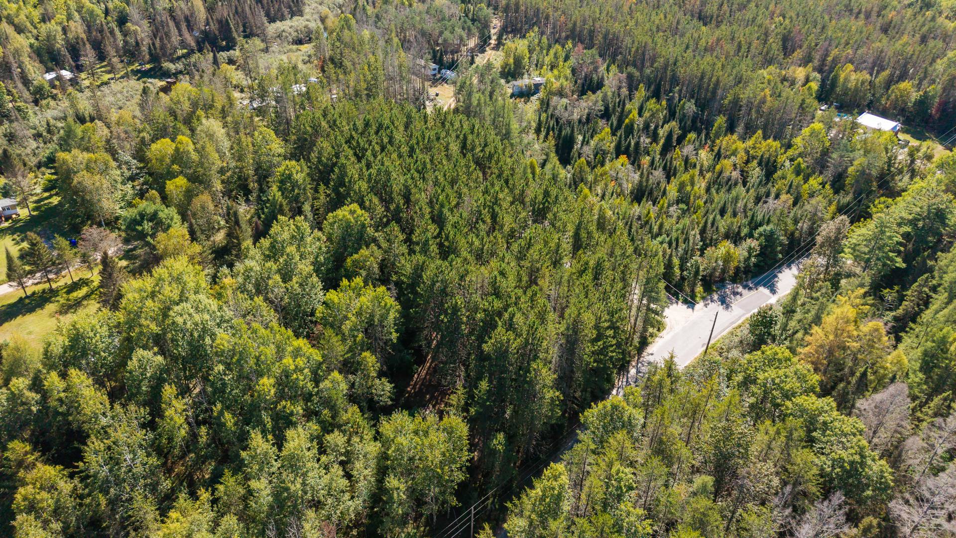 Aerial photo