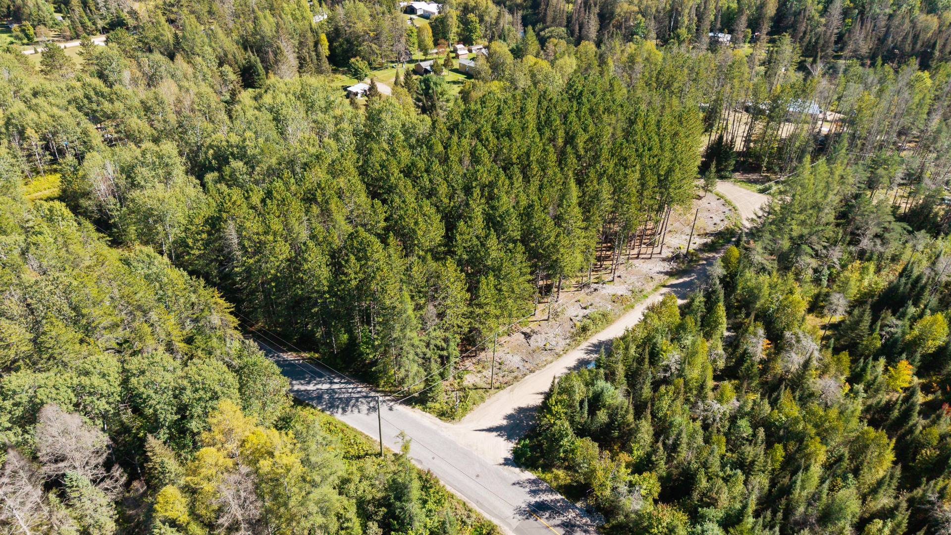 Aerial photo