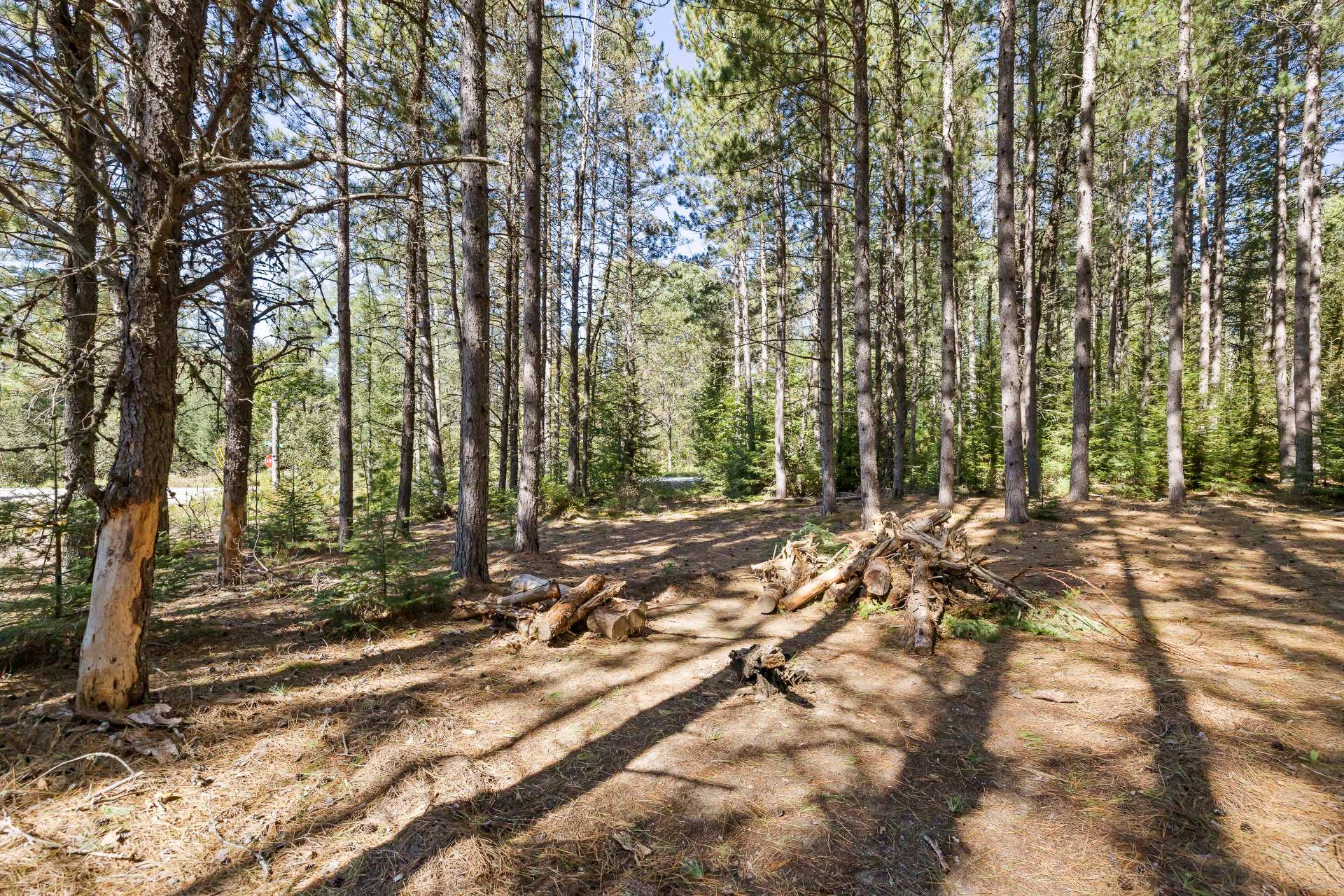 Land/Lot