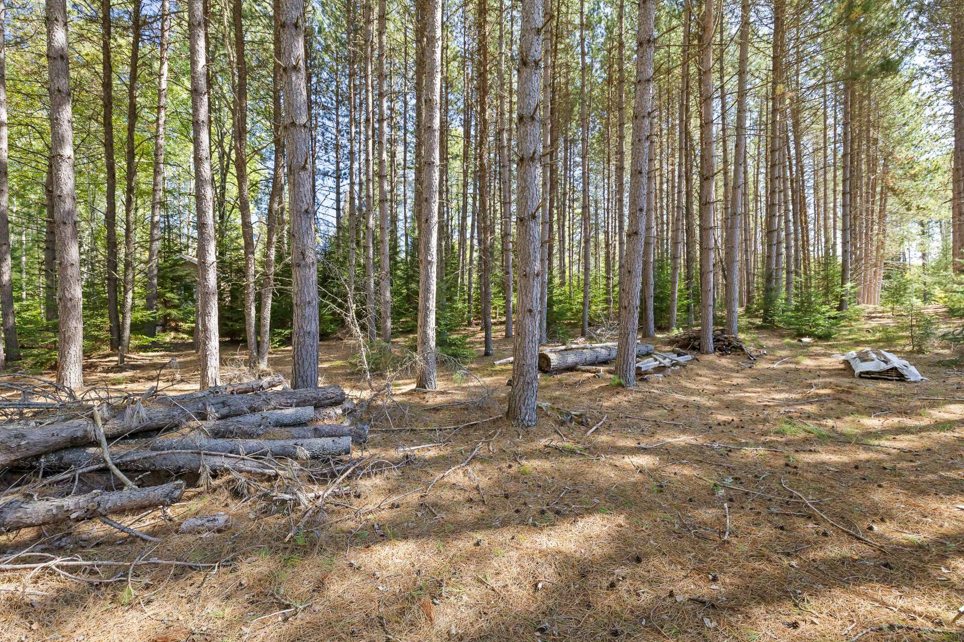 Land/Lot