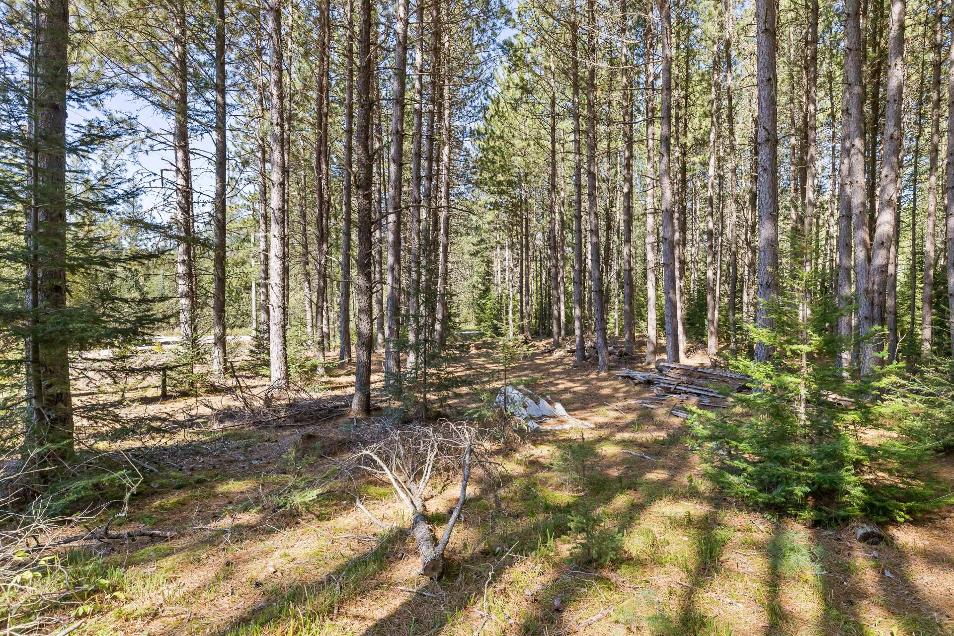 Land/Lot