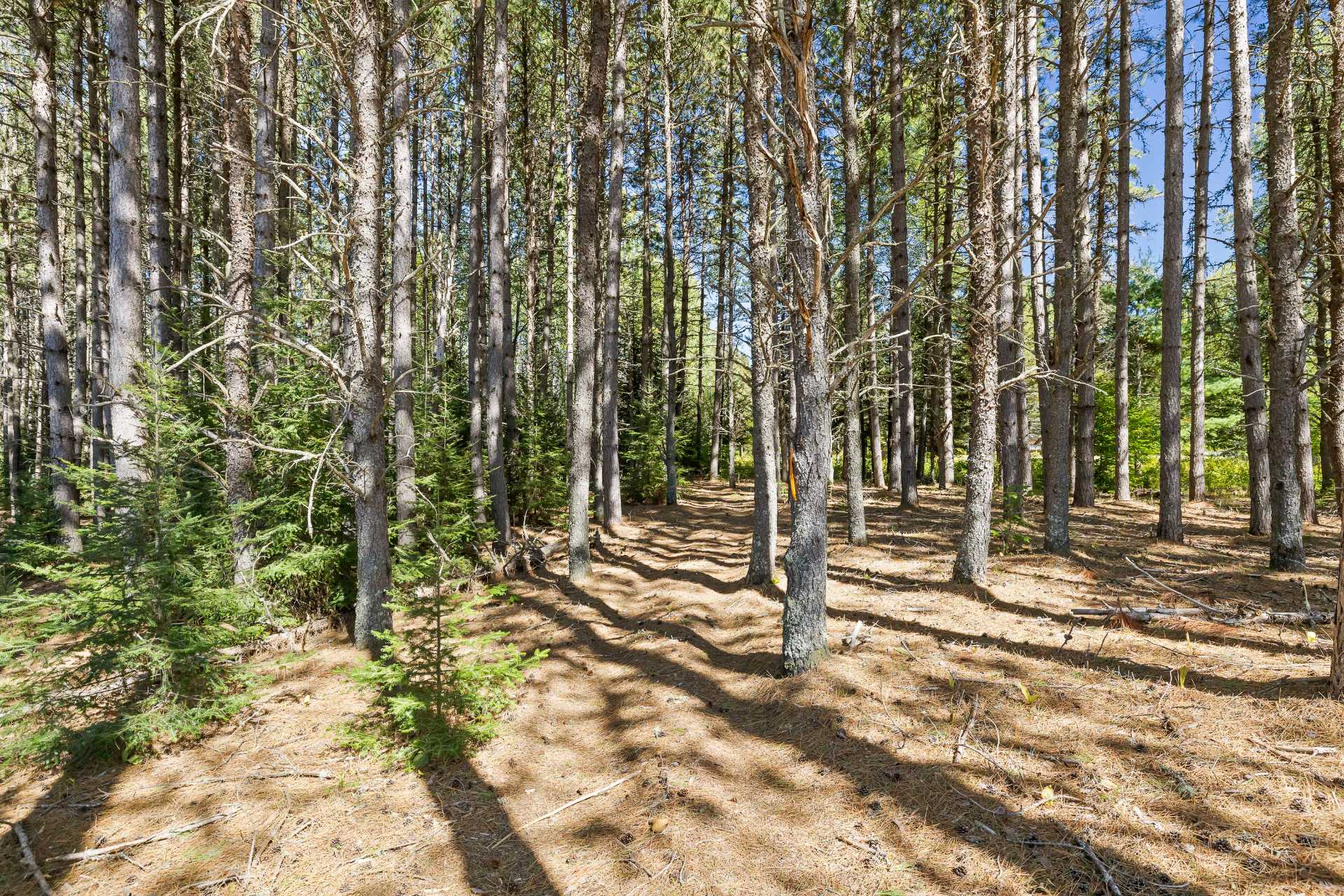 Land/Lot