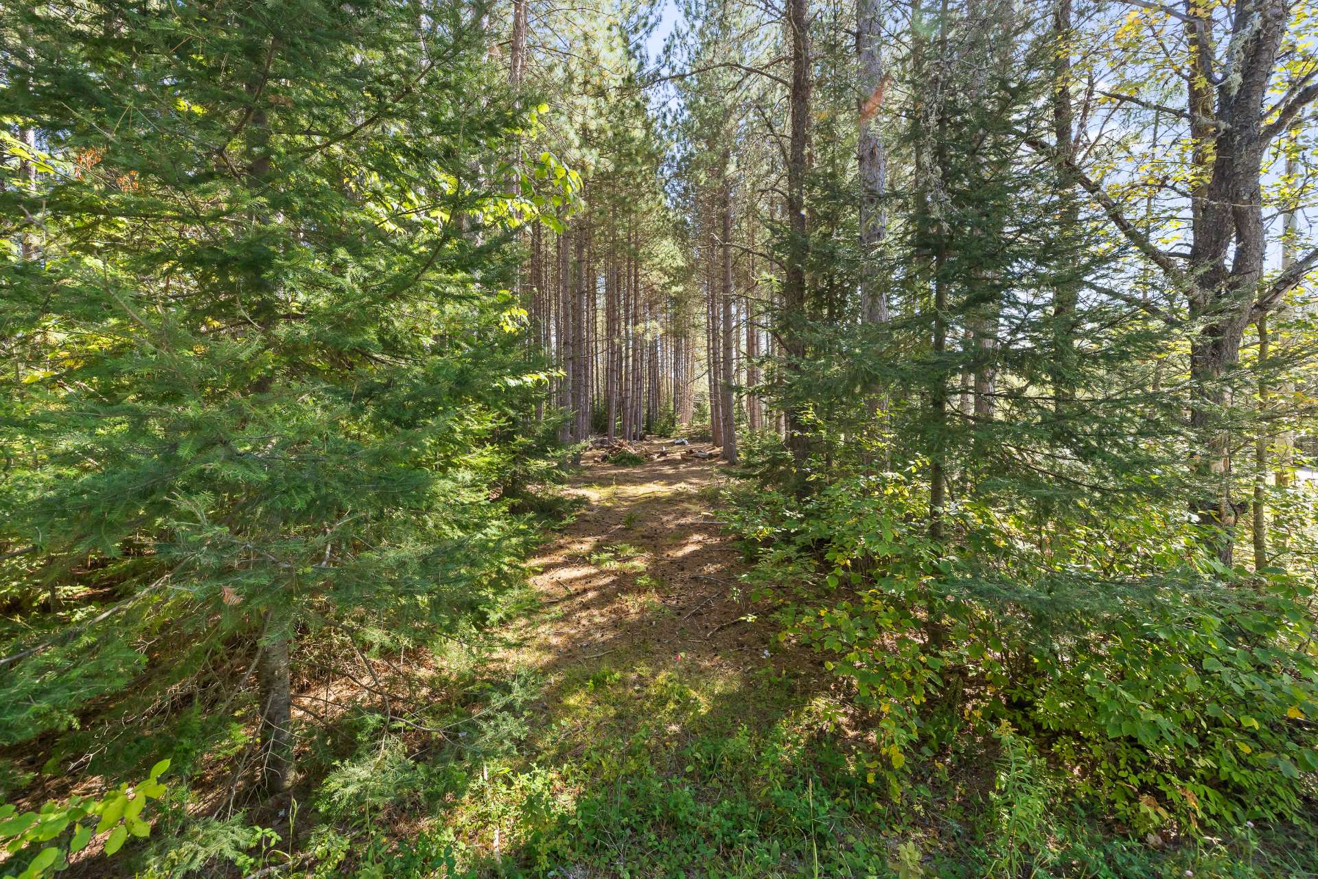 Land/Lot