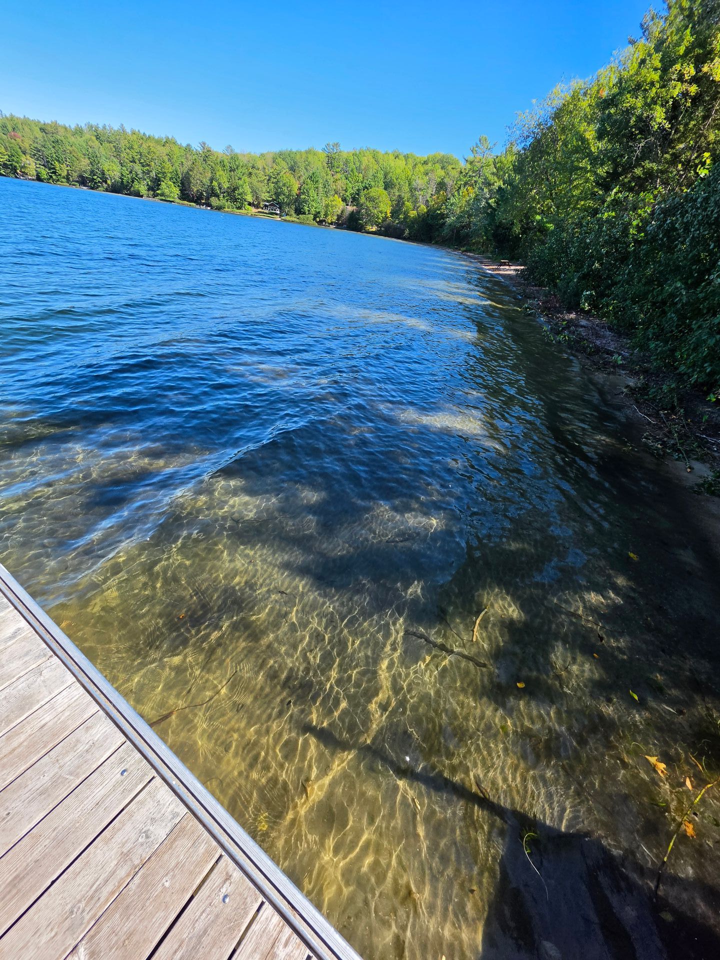 Waterfront