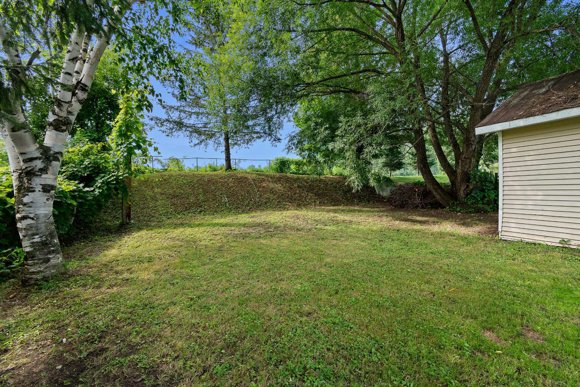Backyard