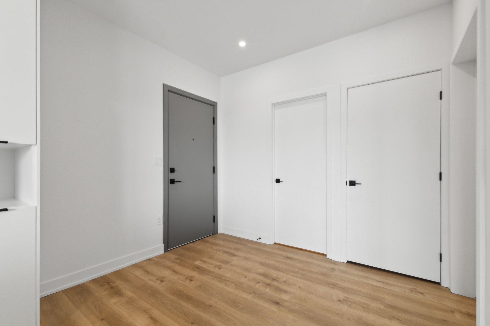 Hall d'entrée/Vestibule