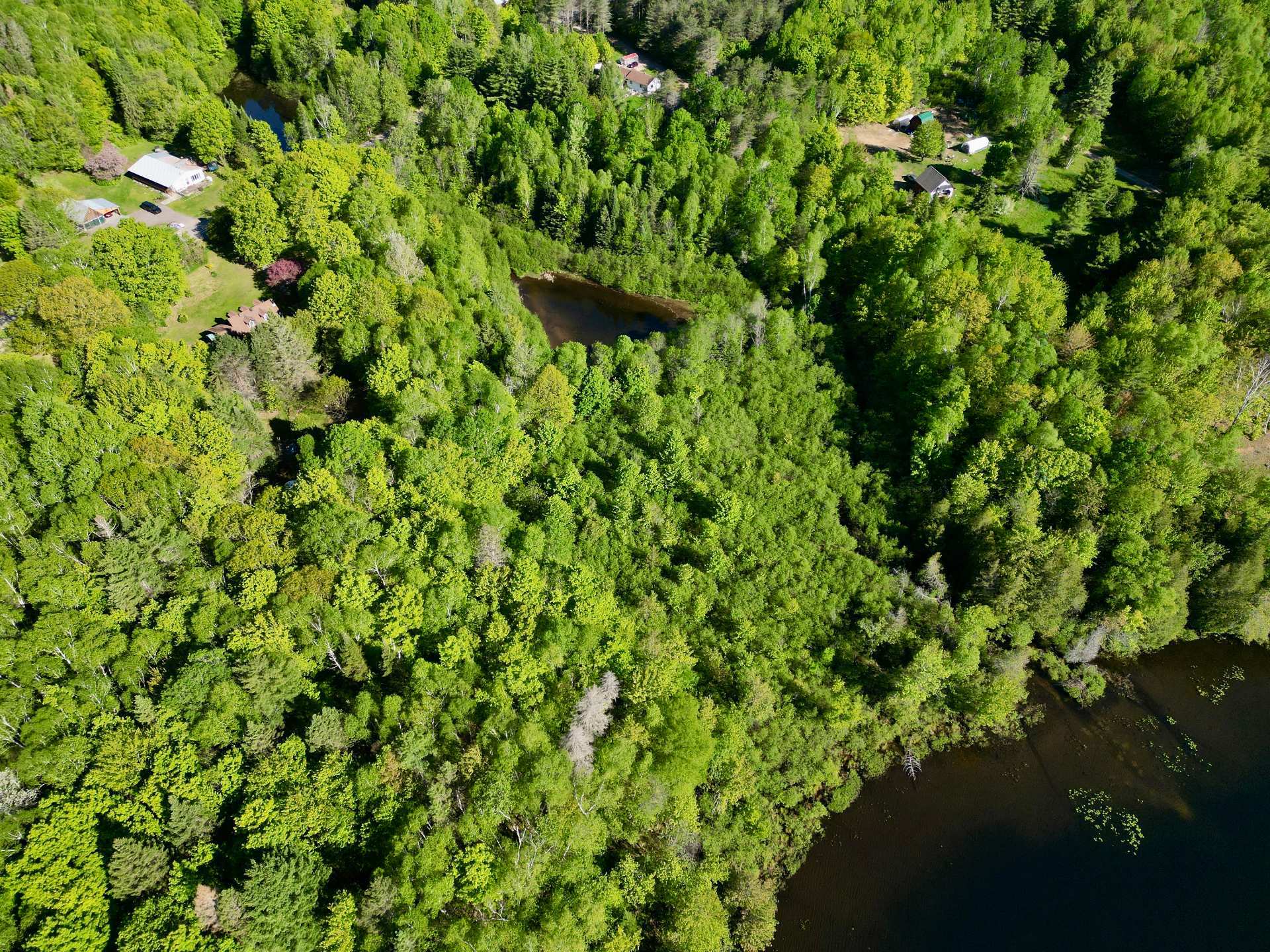 Aerial photo