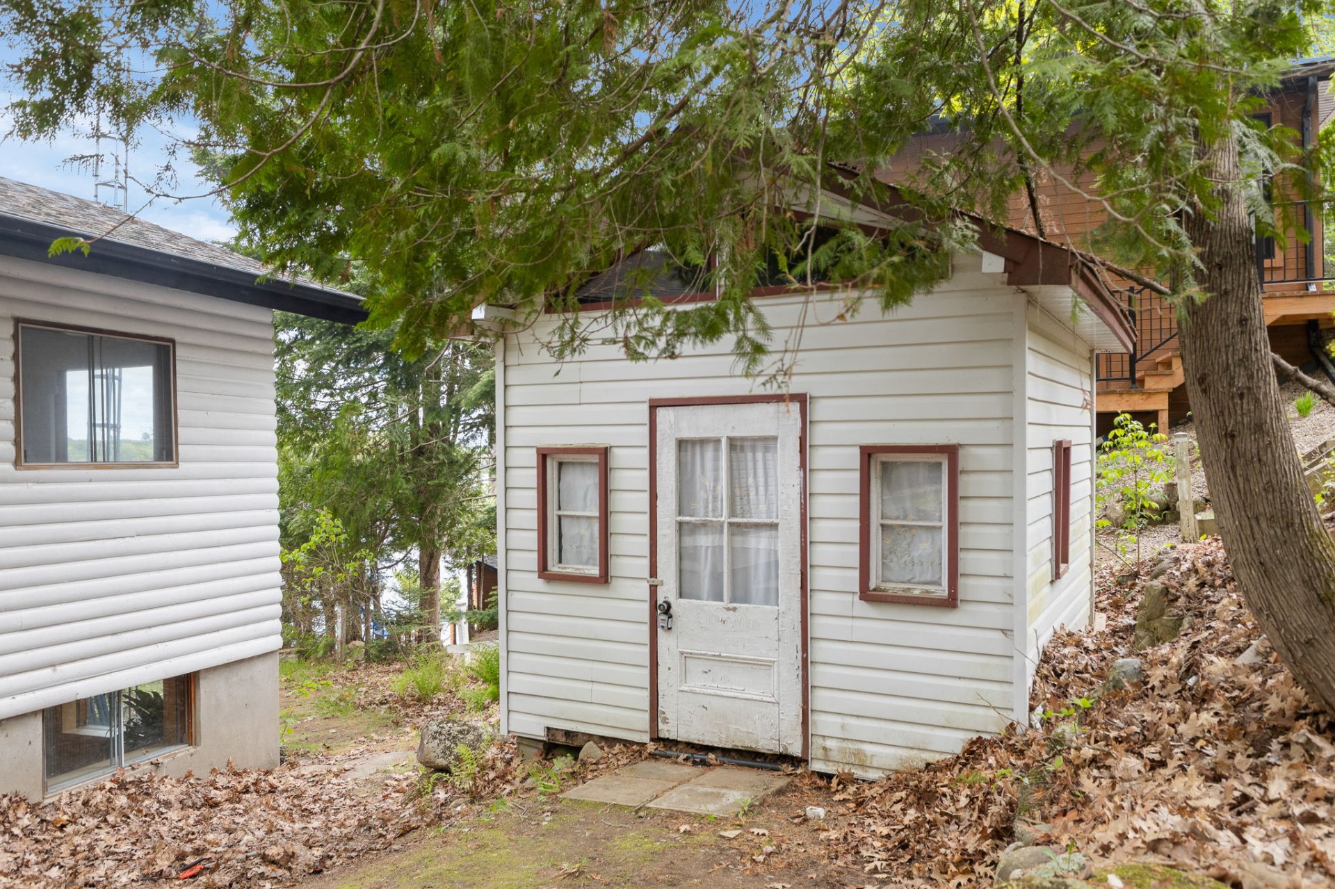 Shed