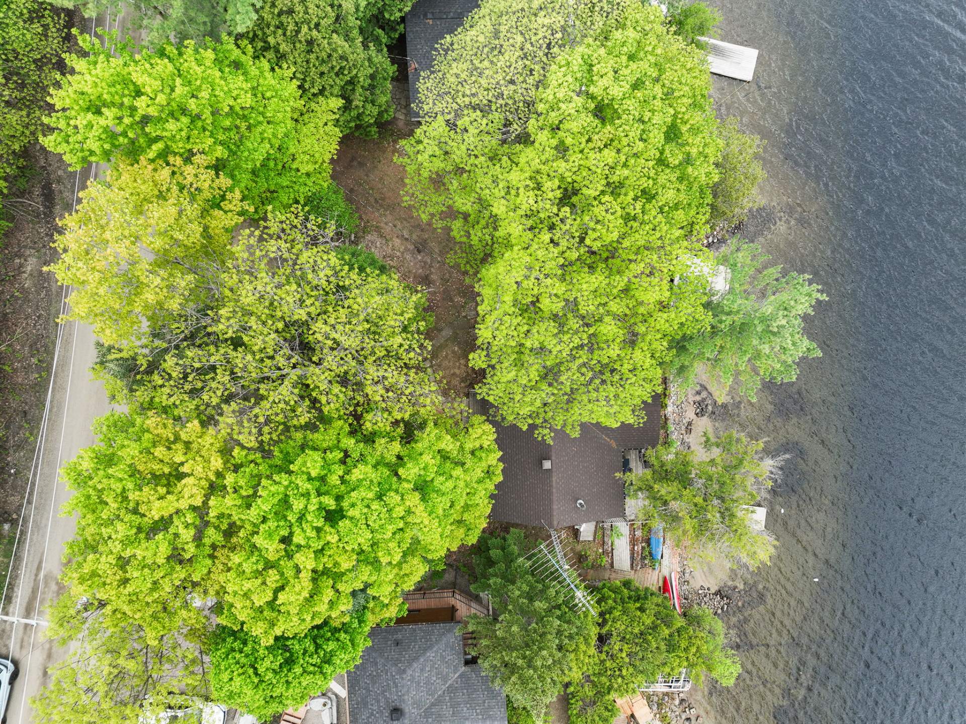 Aerial photo