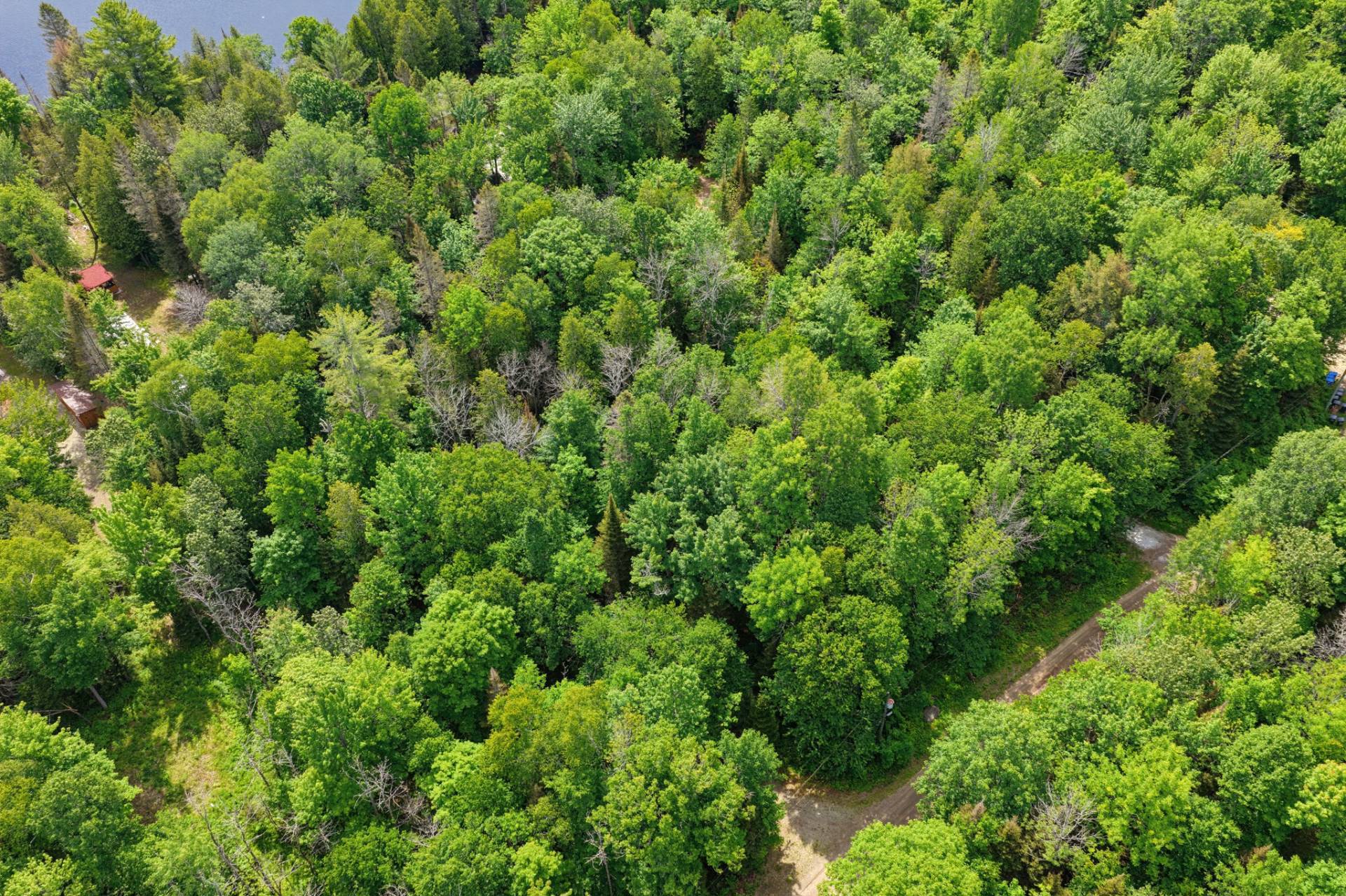Aerial photo