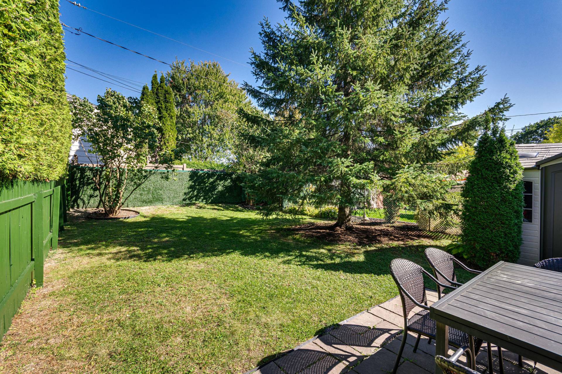 Backyard