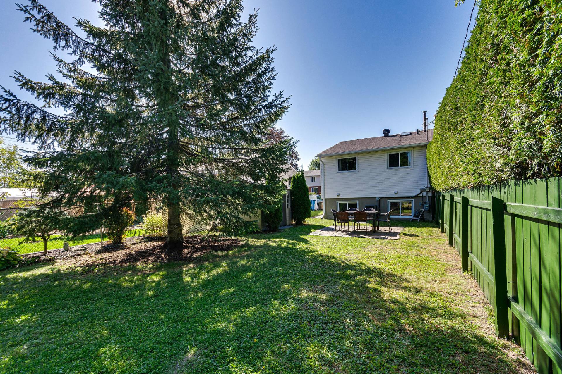 Backyard