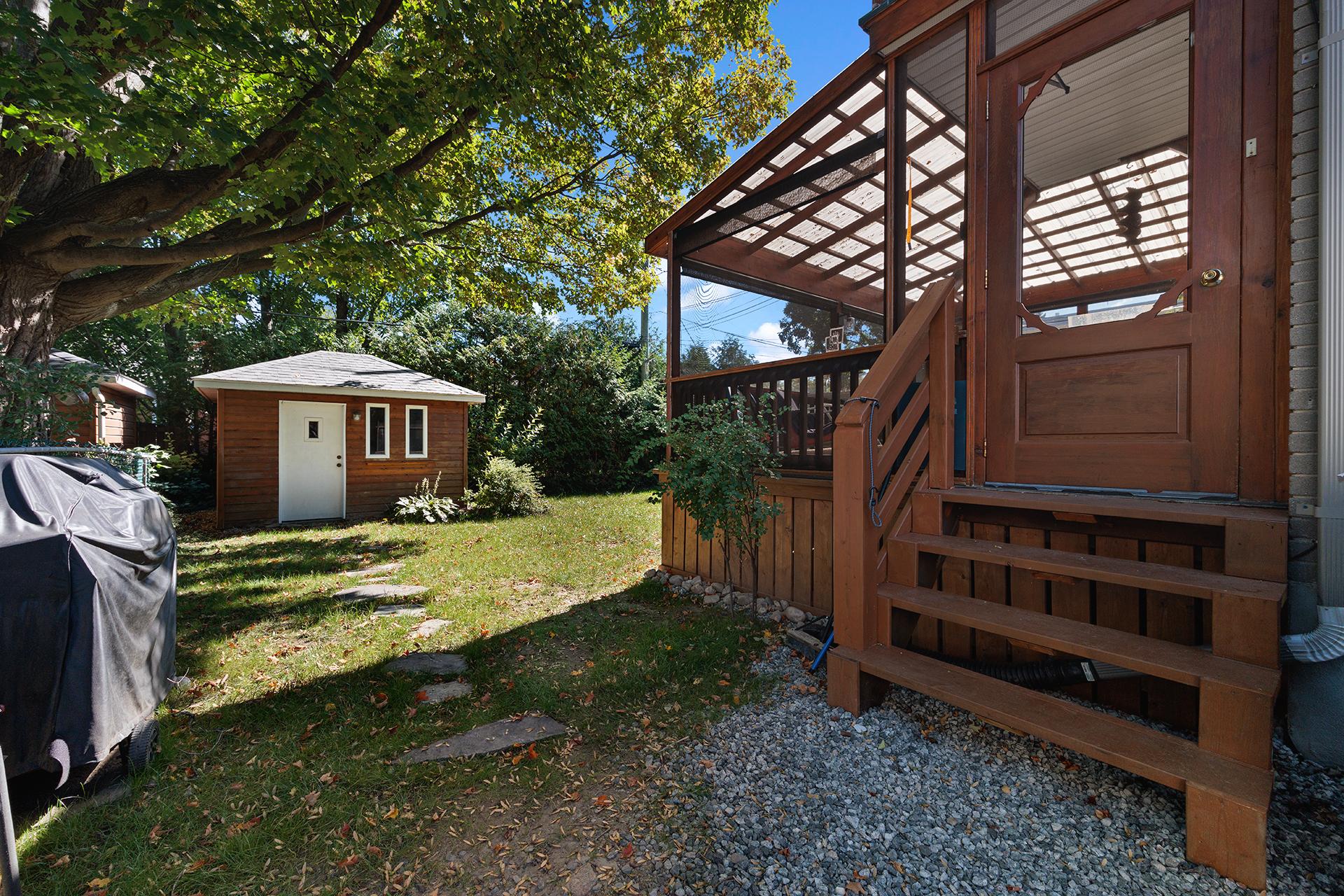 Backyard