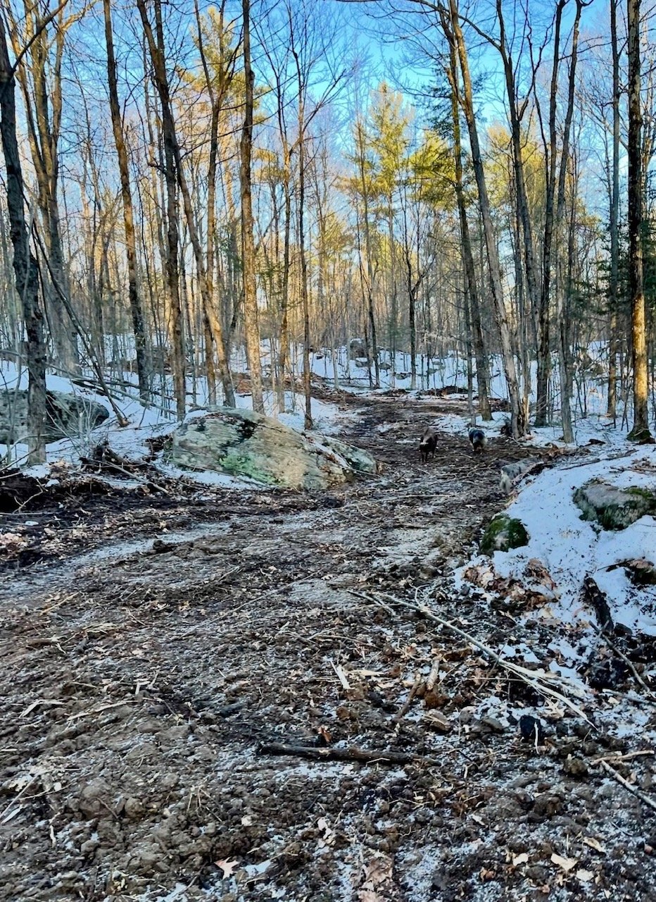 Land/Lot