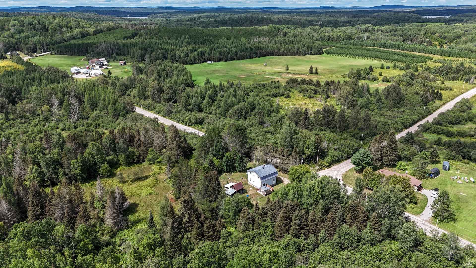 Overall view
