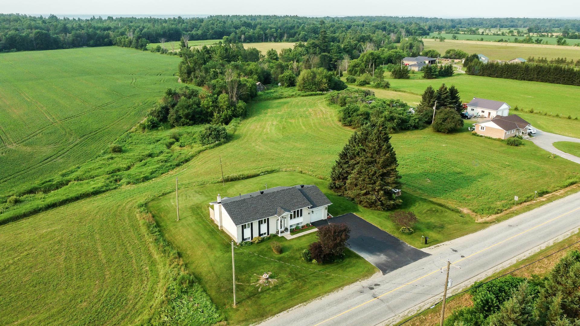 Aerial photo