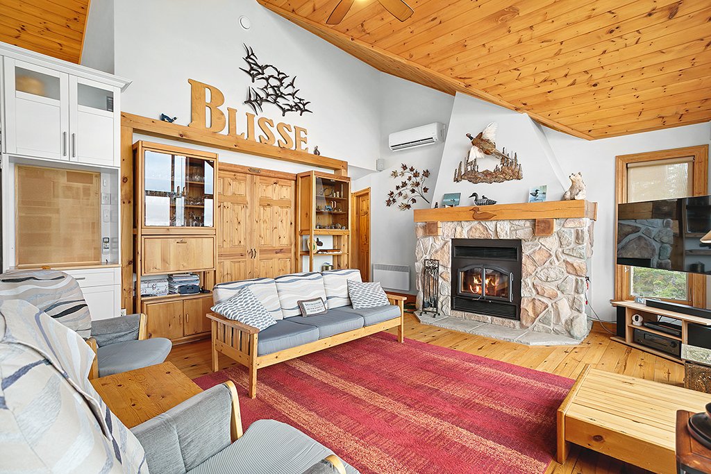 Salon - foyer au bois