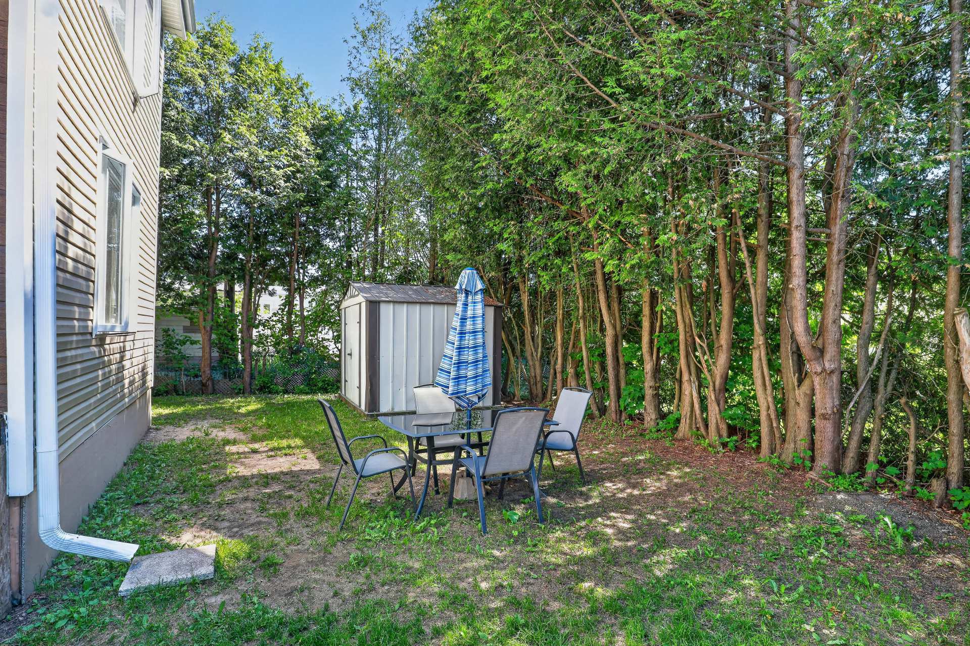 Backyard