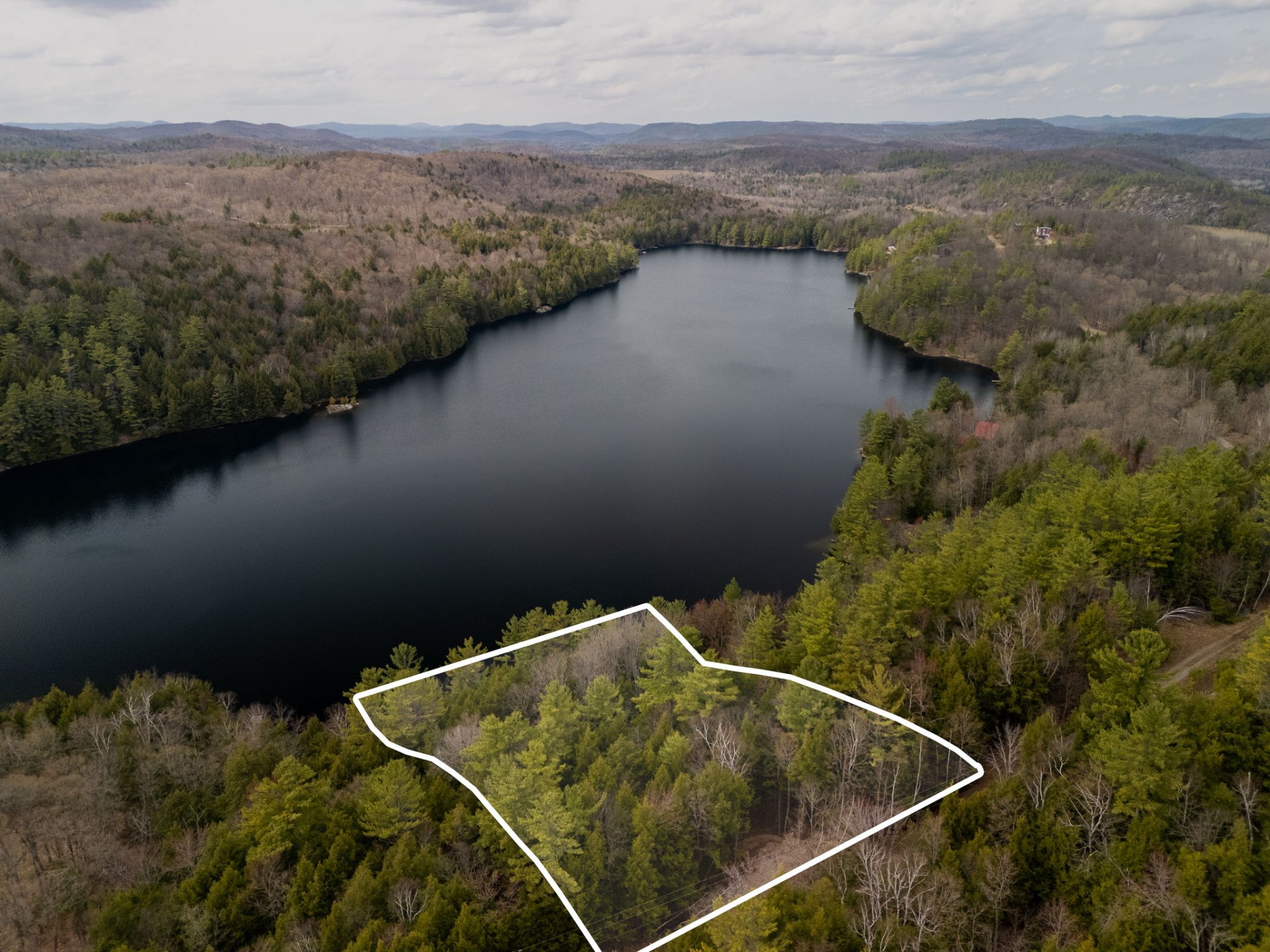 Aerial photo