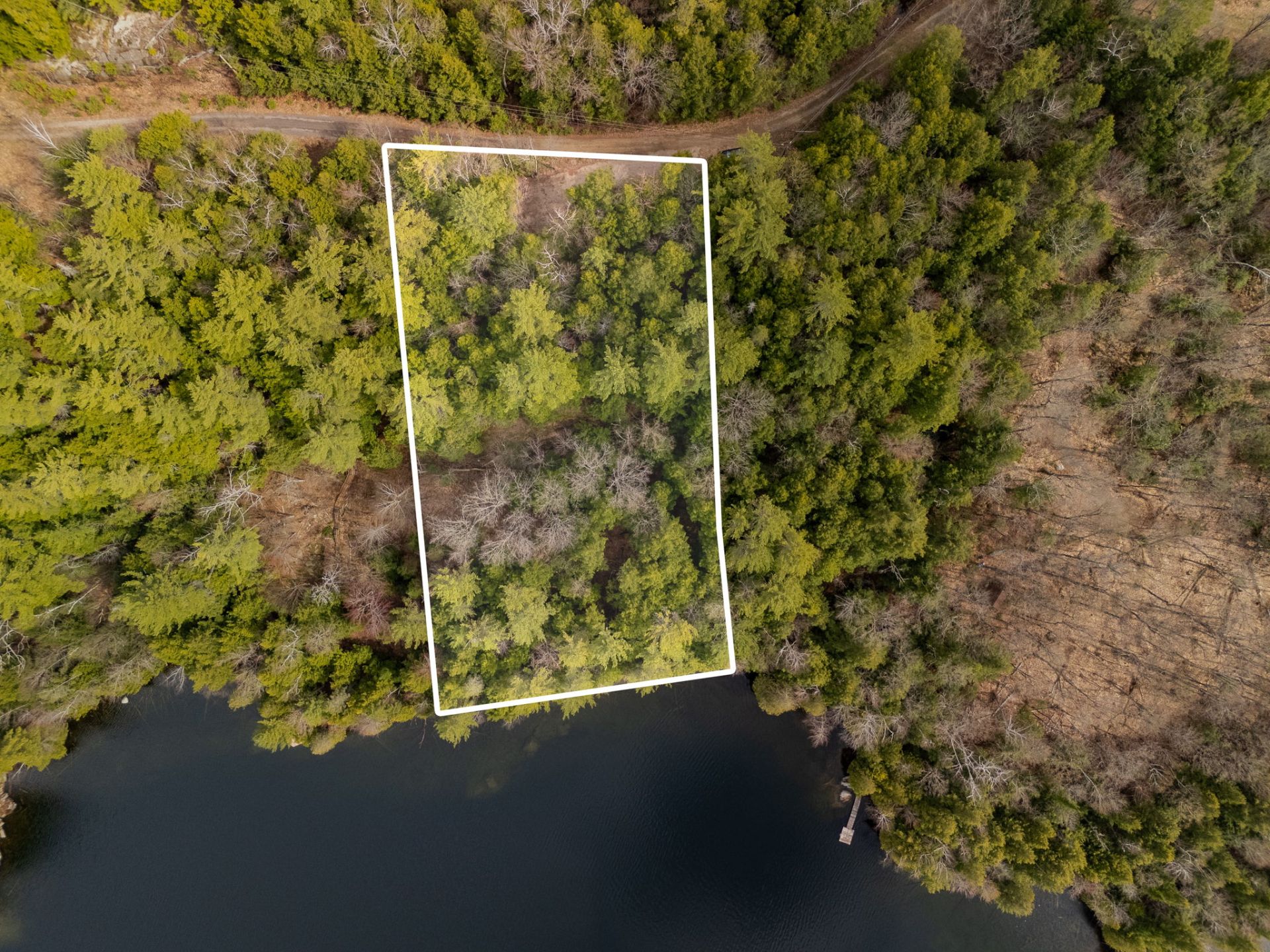 Aerial photo