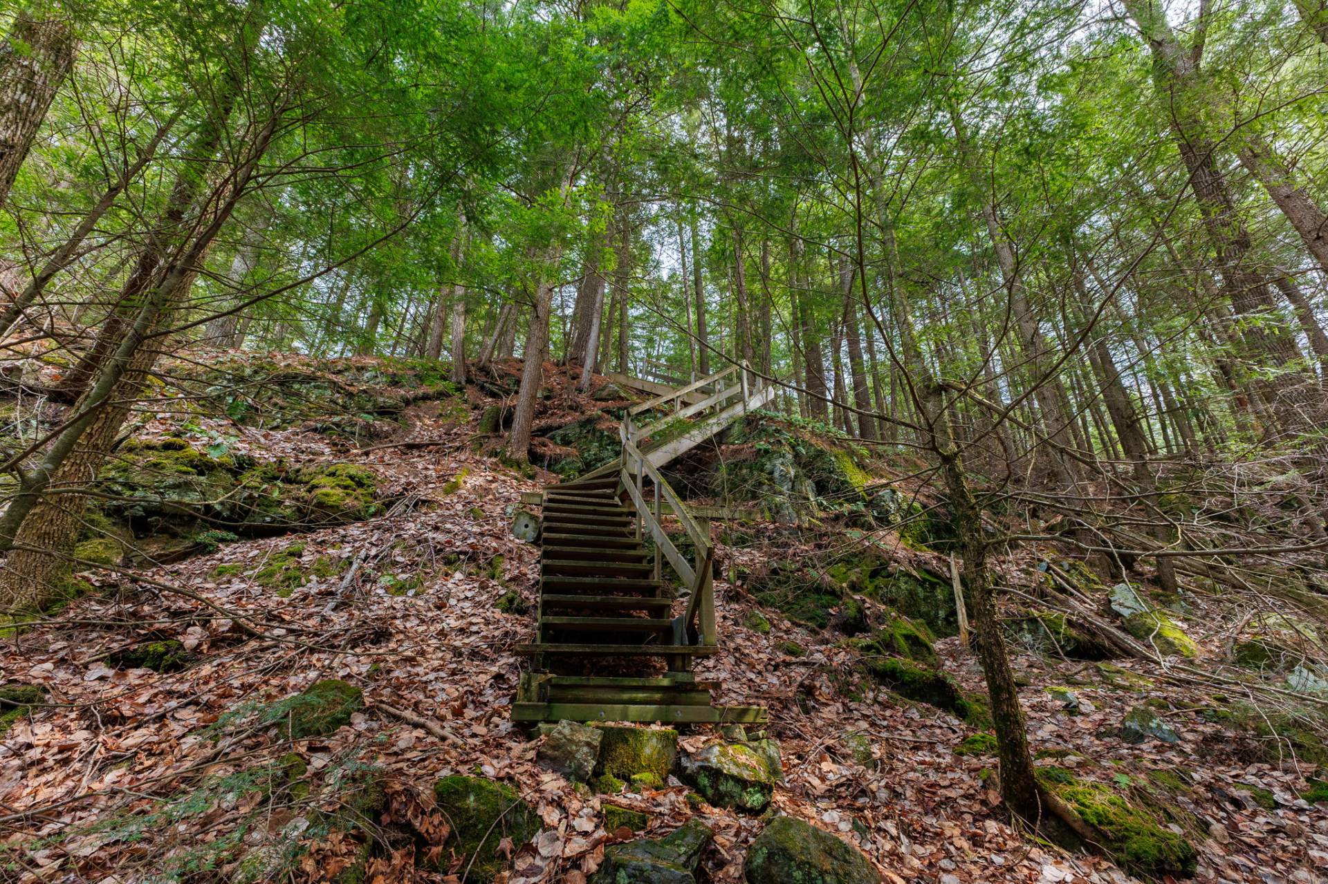 Staircase
