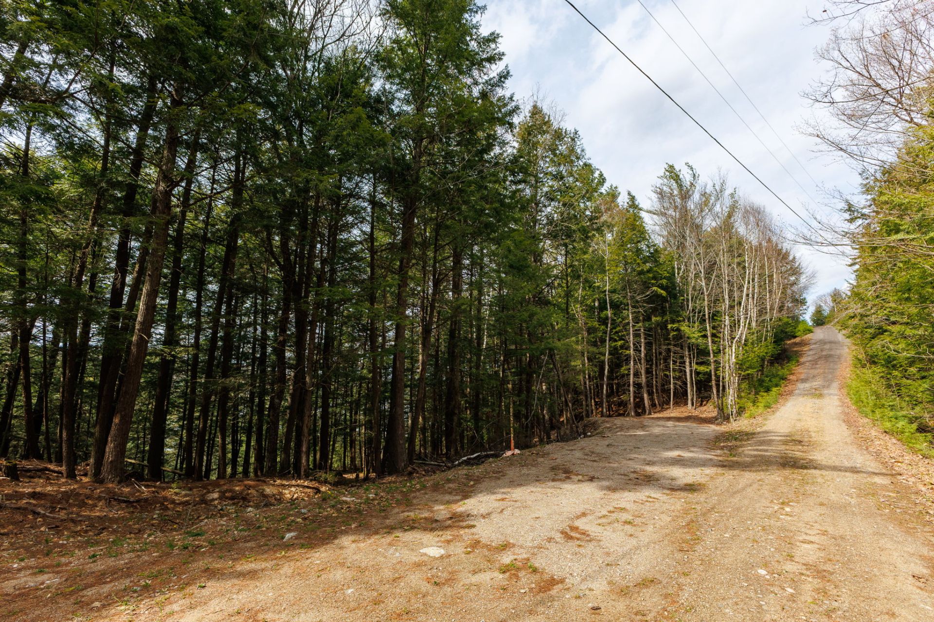 Other - Road and Driveway on the left