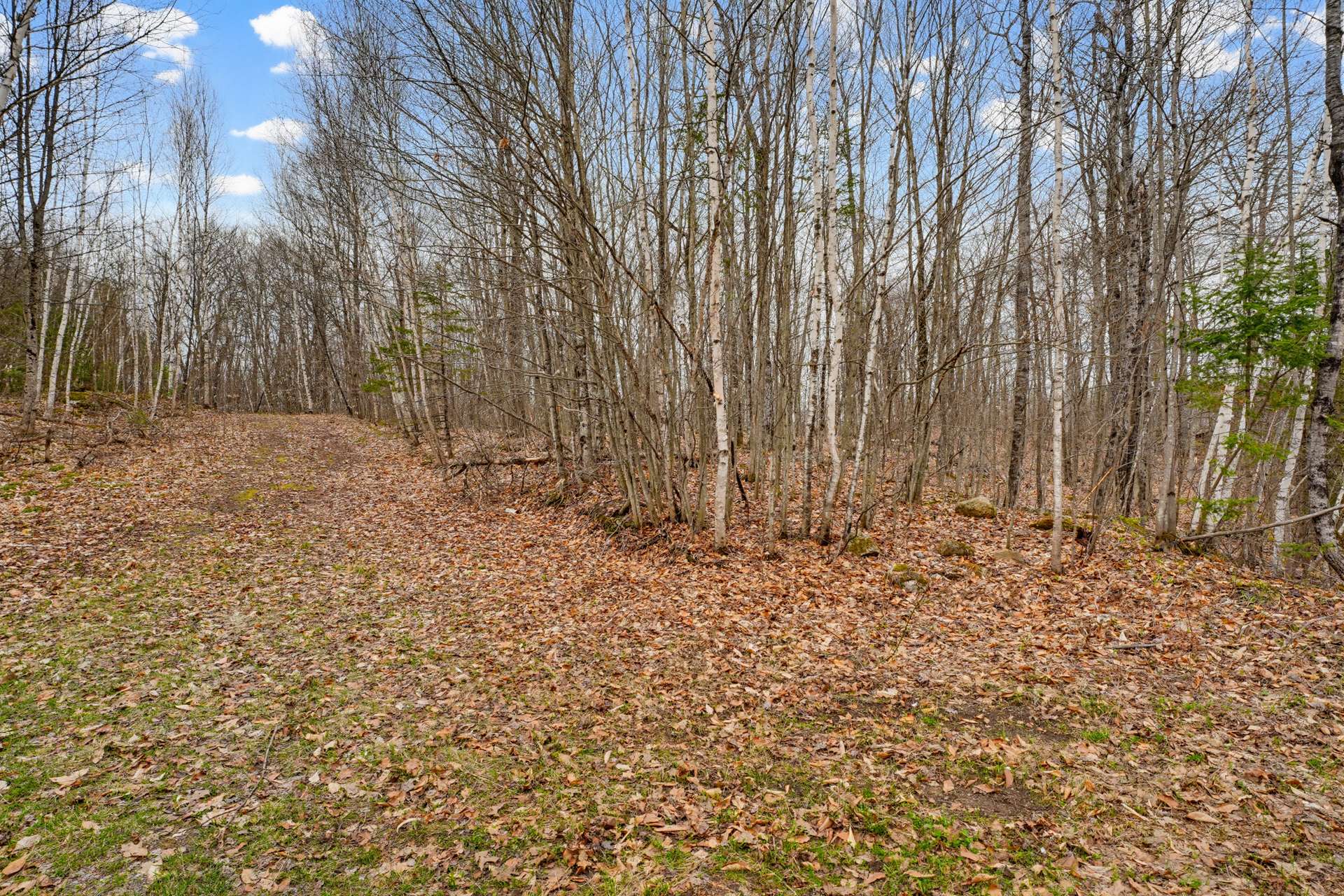 Land/Lot