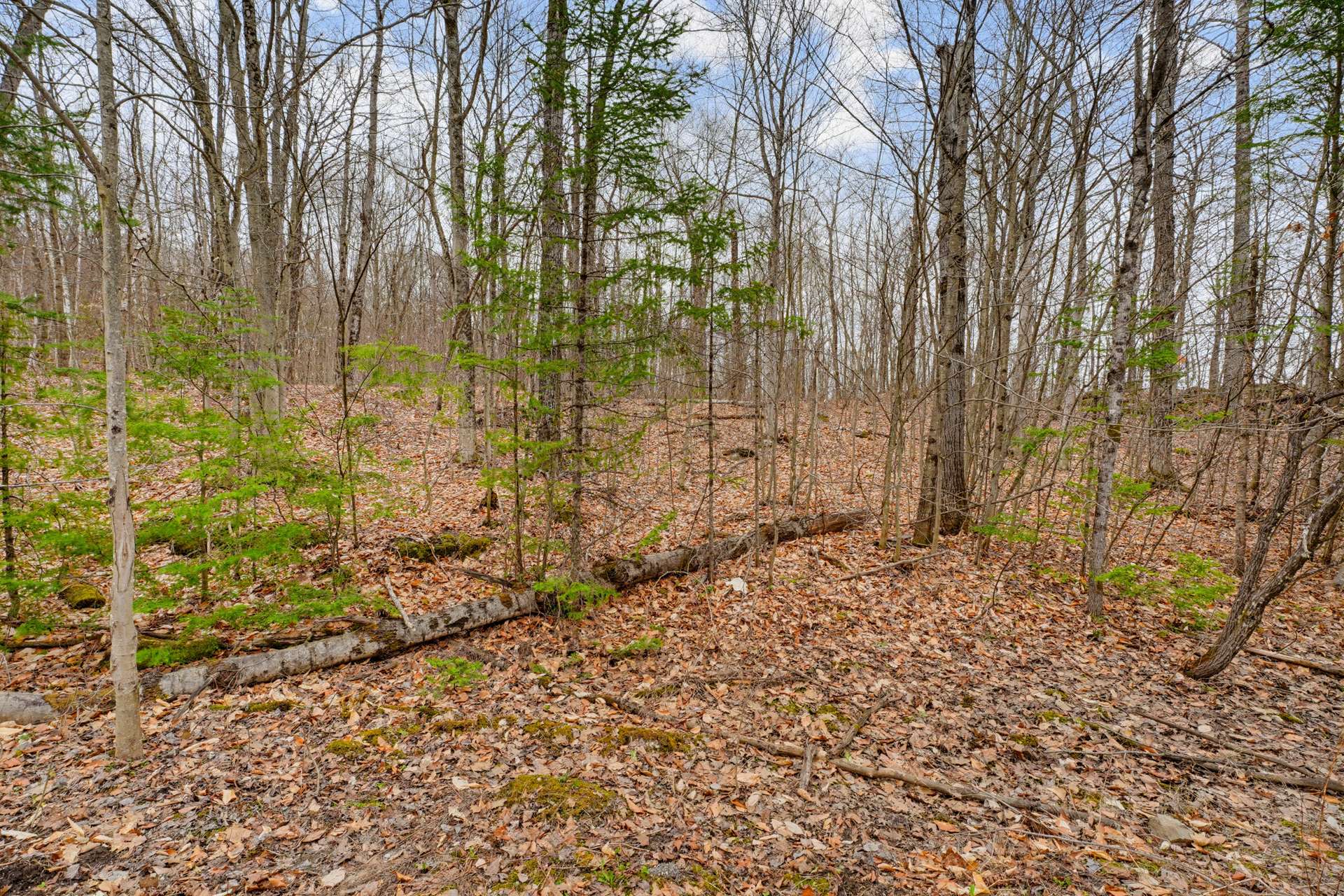 Land/Lot
