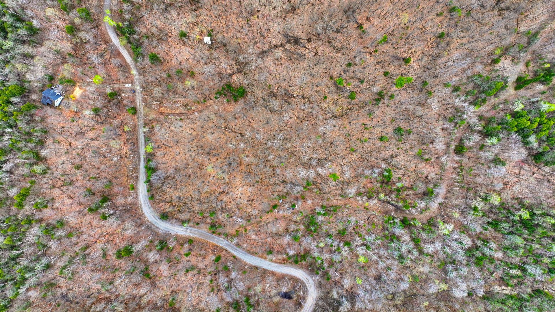 Overall View