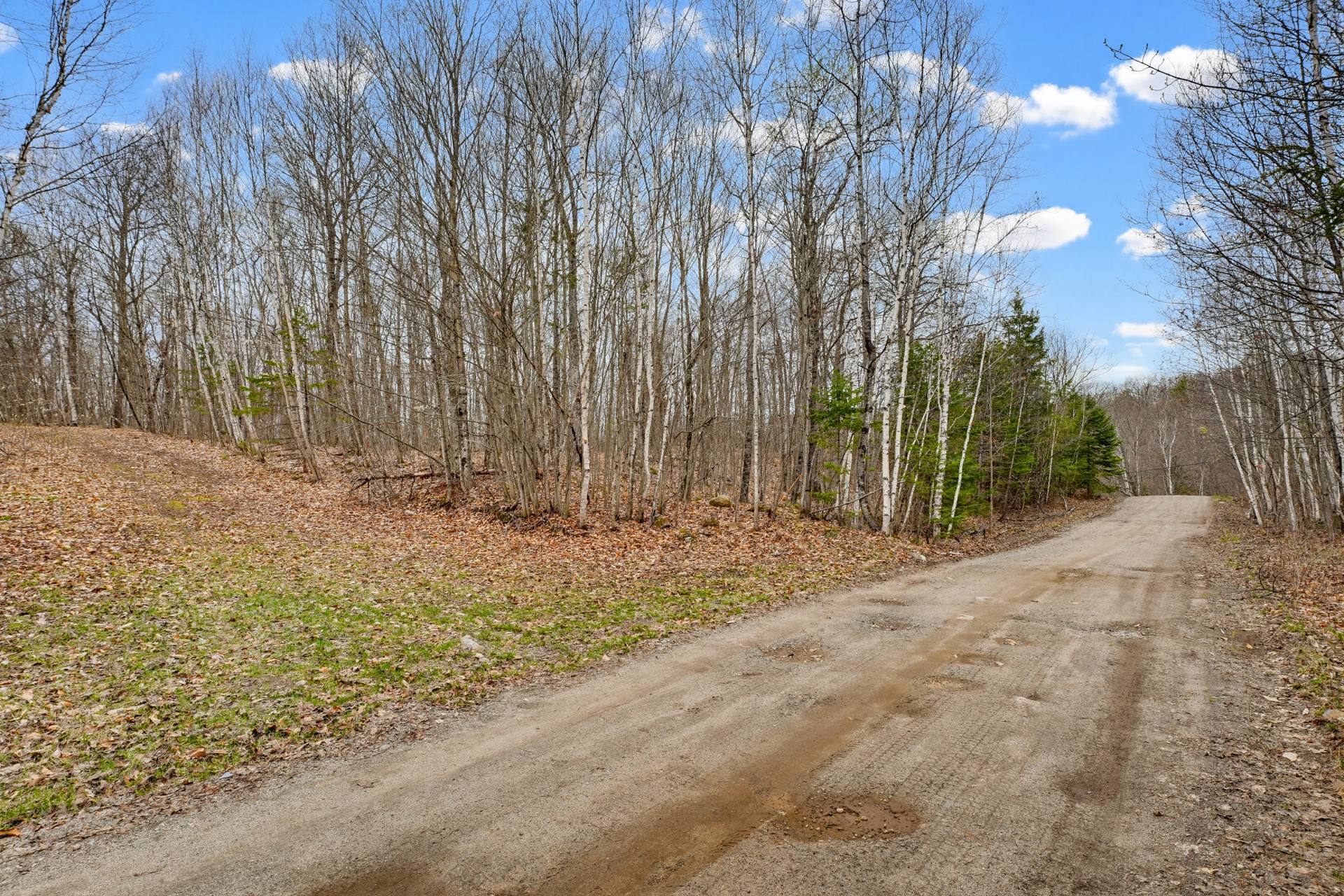 Land/Lot