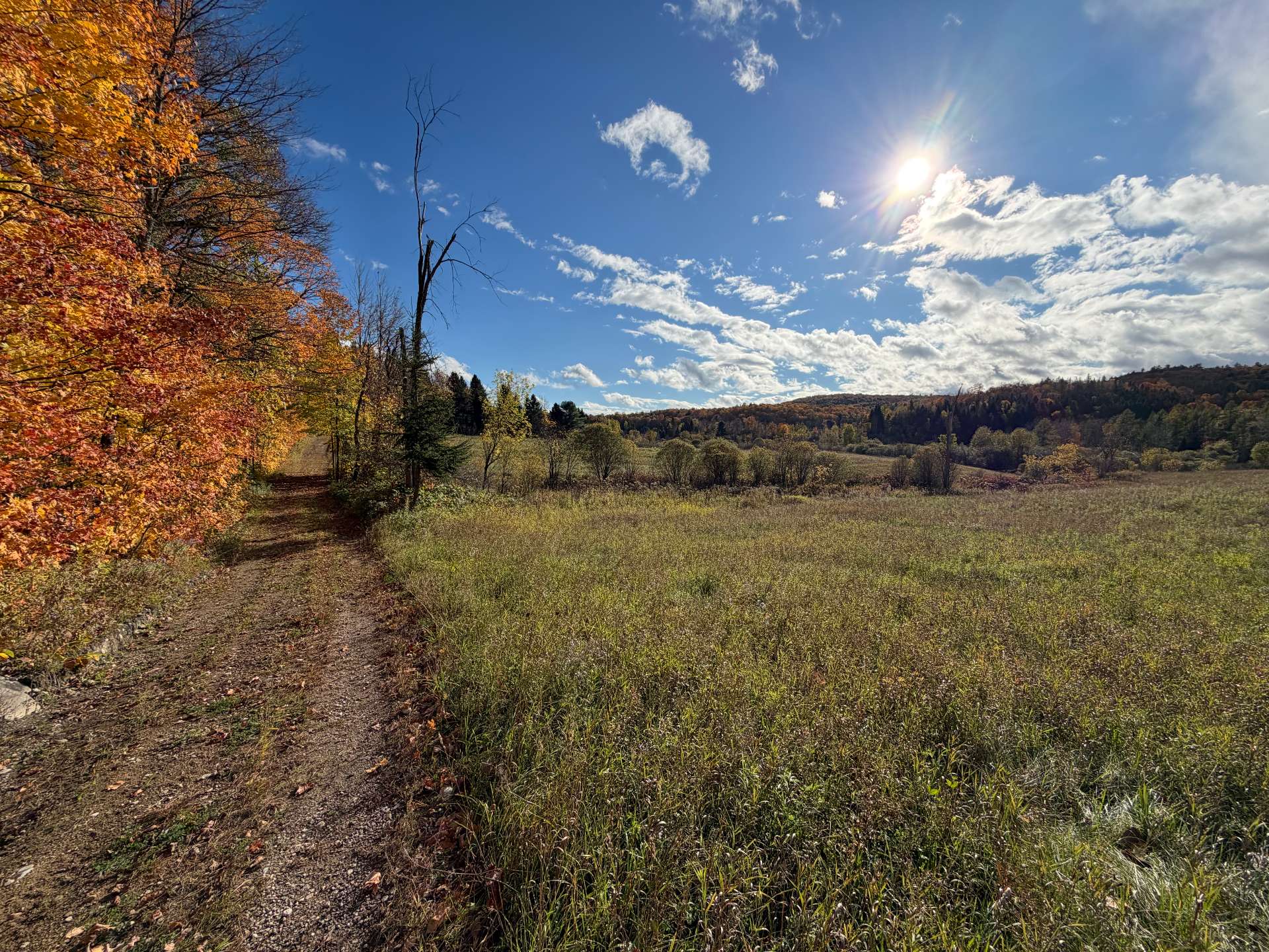 Land/Lot