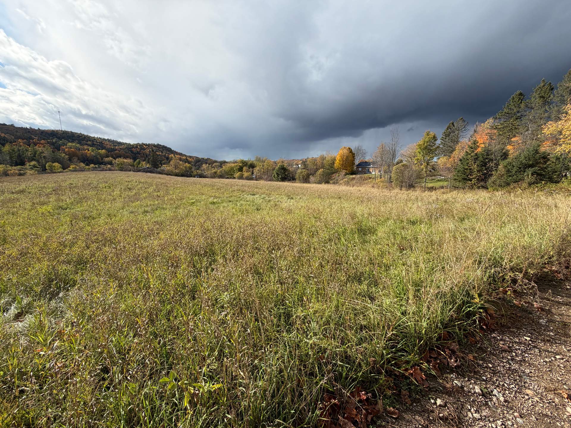 Land/Lot