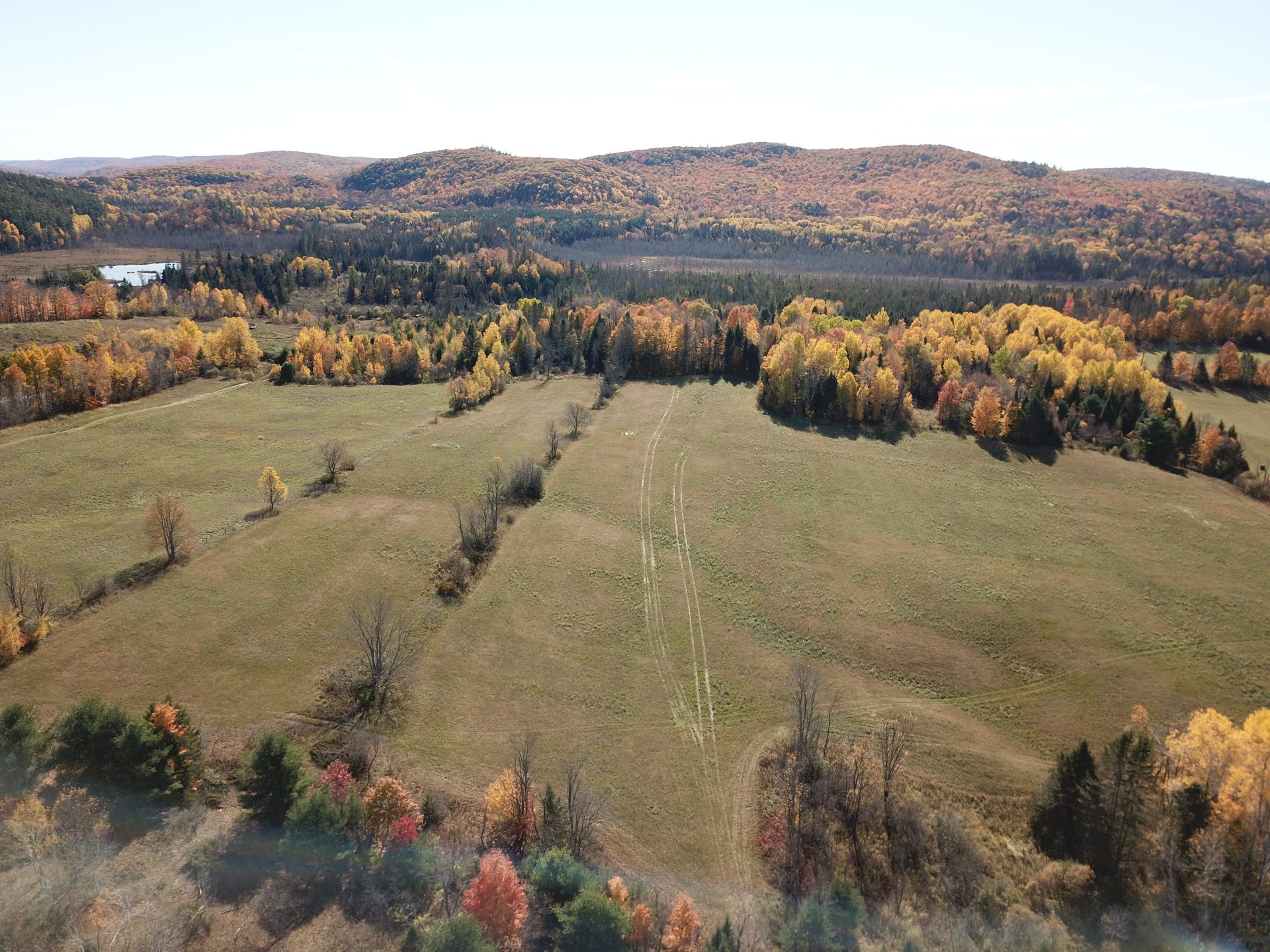 Land/Lot