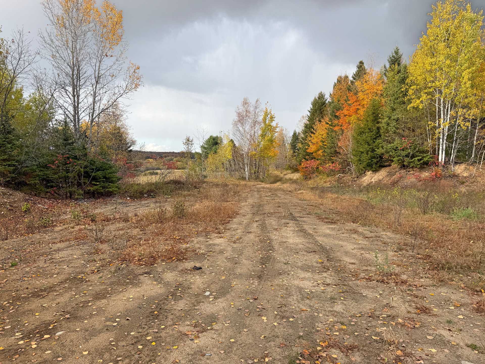 Land/Lot
