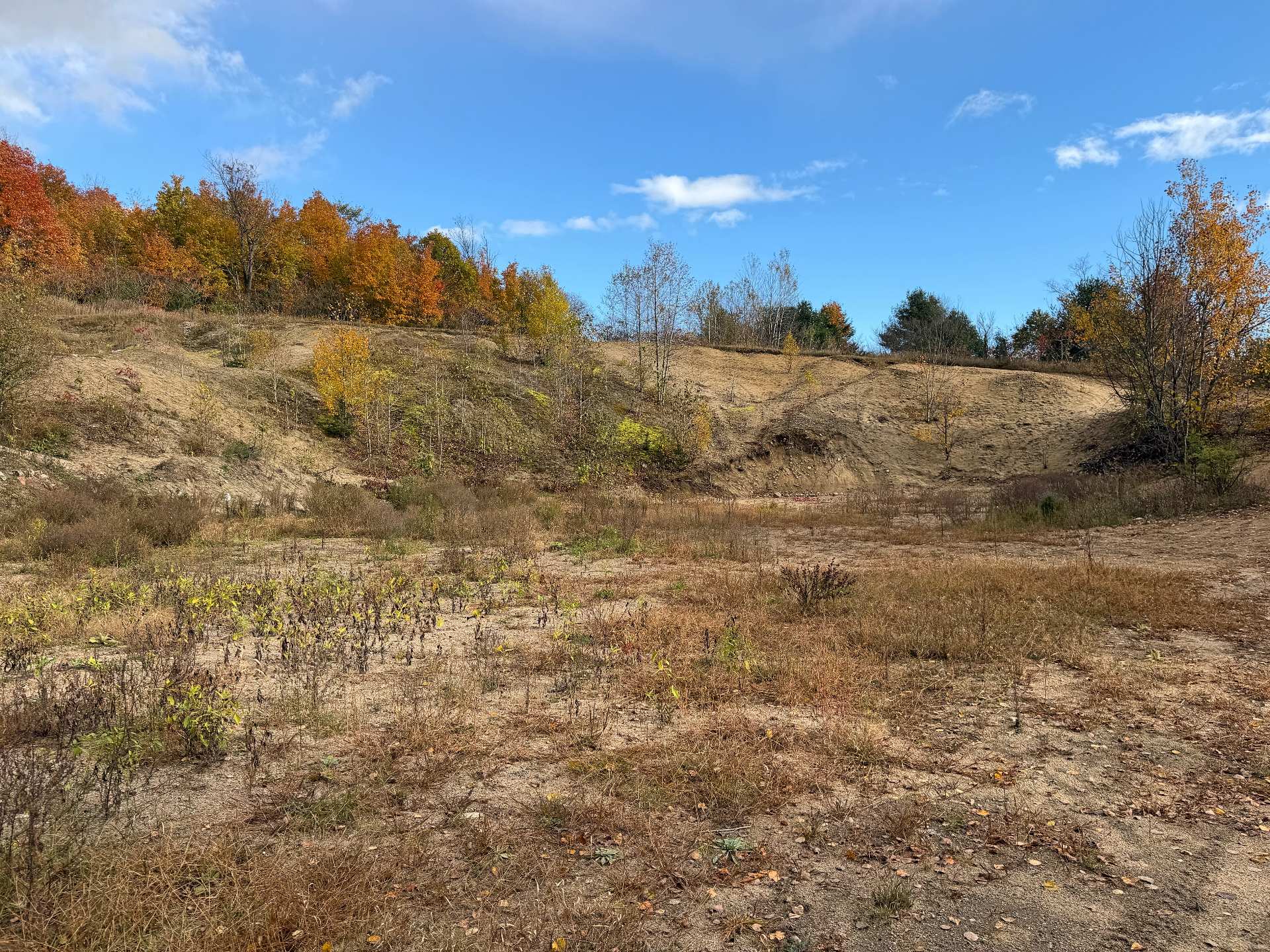 Land/Lot