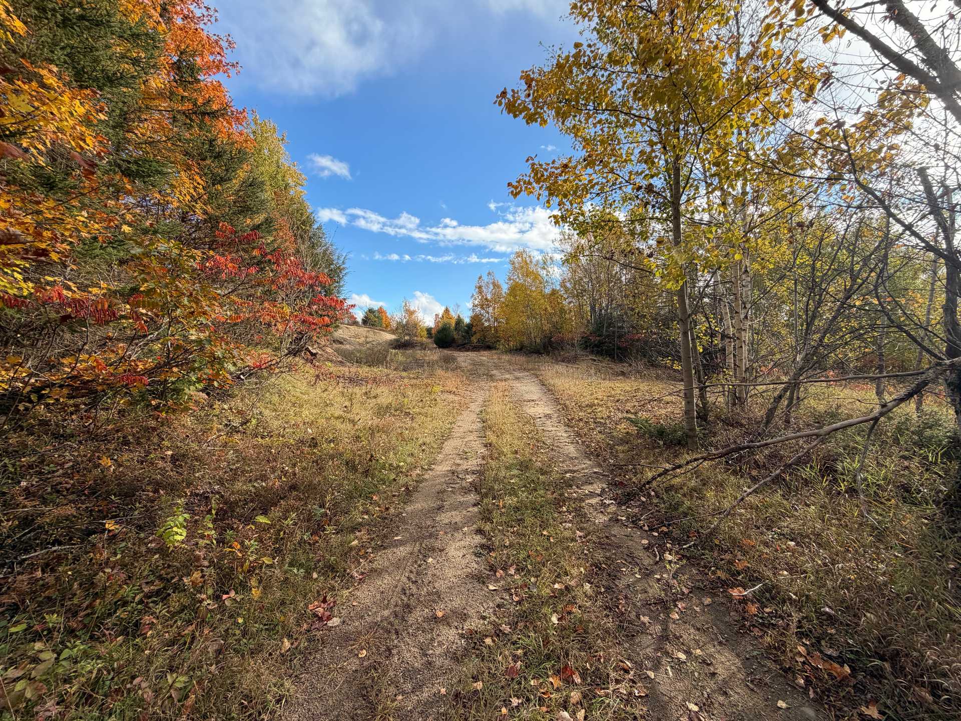 Land/Lot