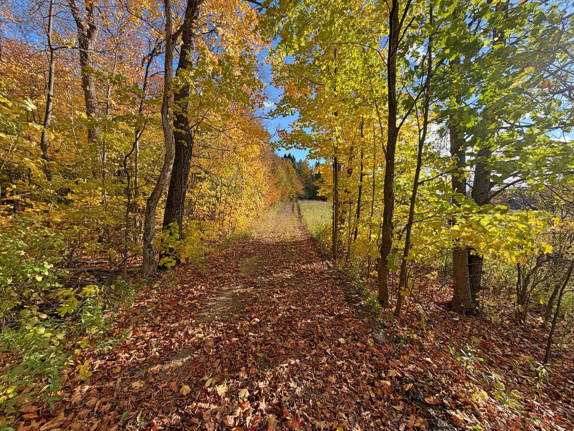 Land/Lot