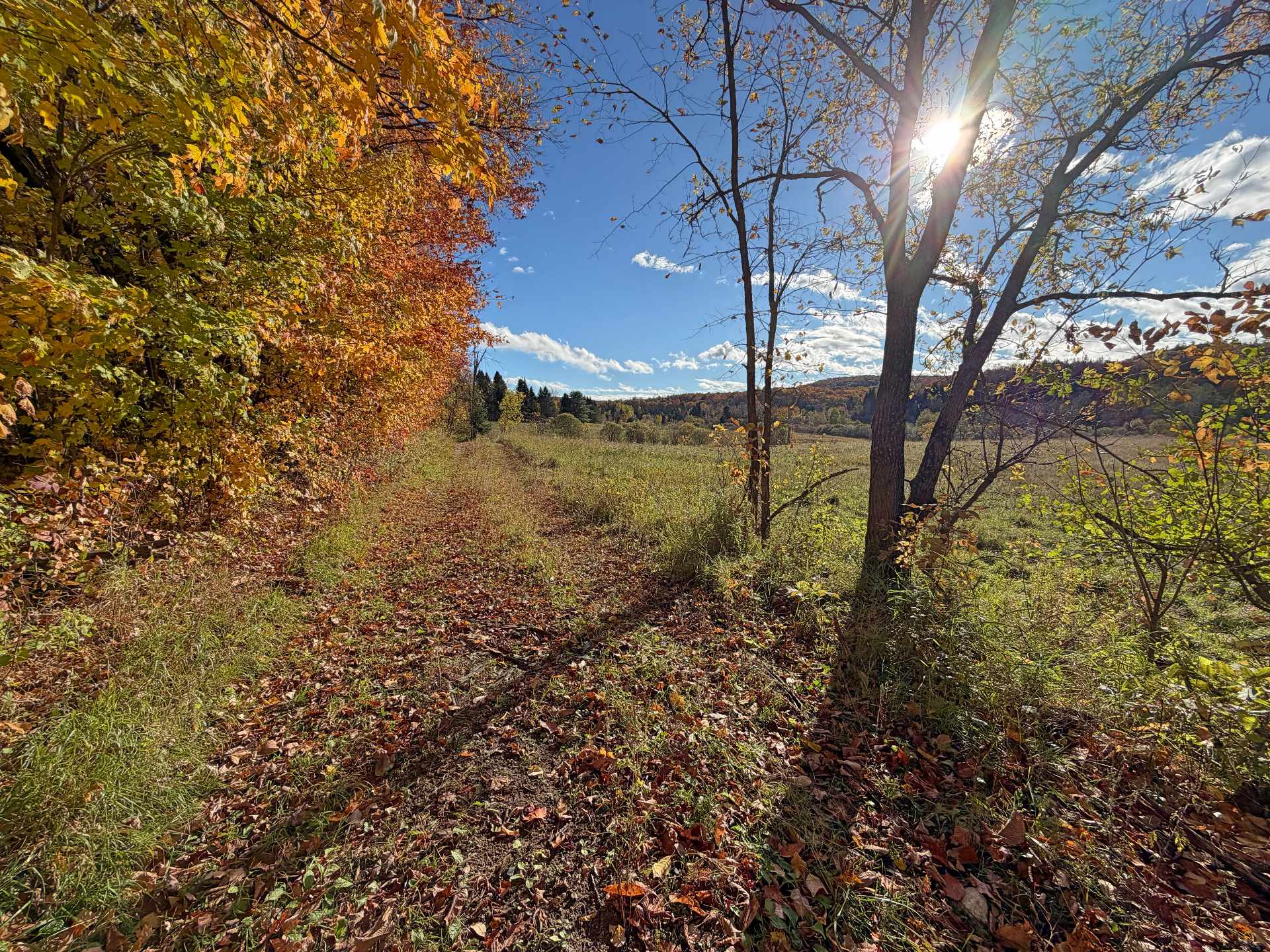 Land/Lot