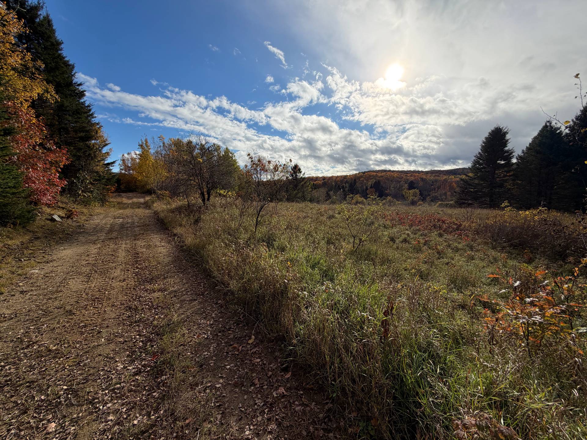 Land/Lot