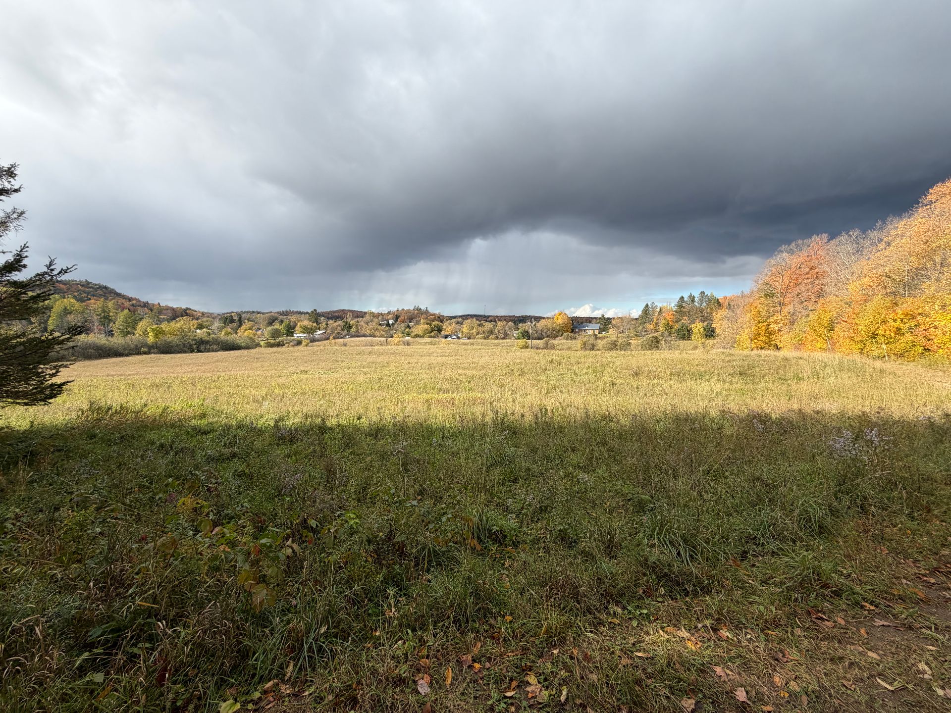Land/Lot