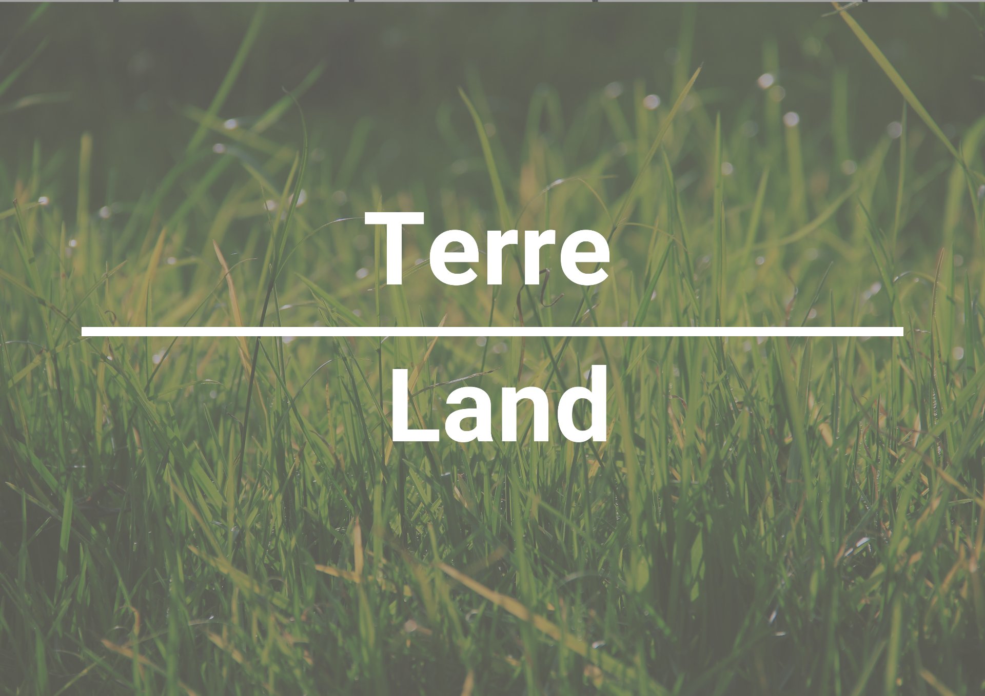 Terre/Terrain